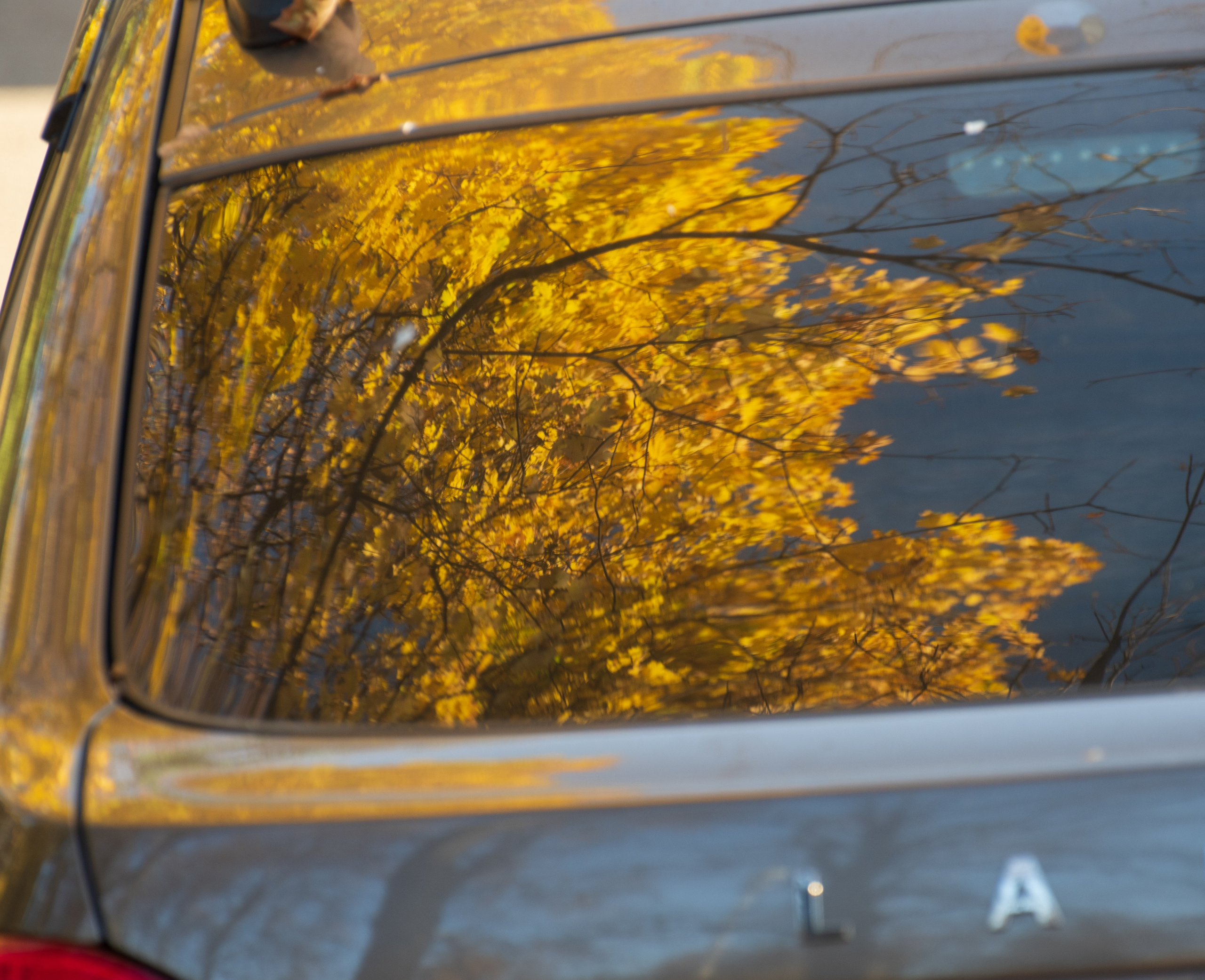 20211010 МГУ. Дмитрий Ремизов. Фотография, как хобби