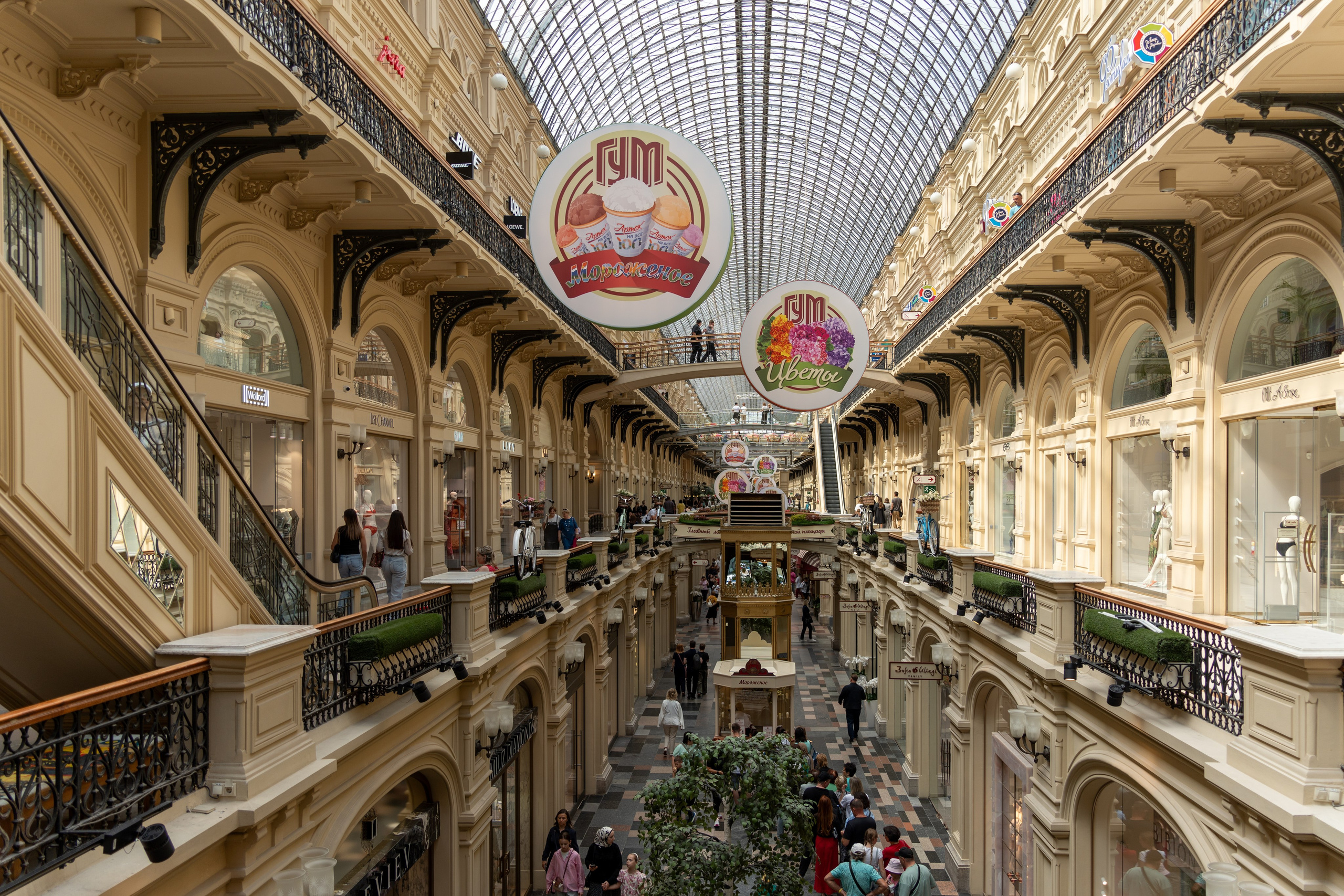 20250808 Прогулка с сыном. Дмитрий Ремизов. Фотография, как хобби