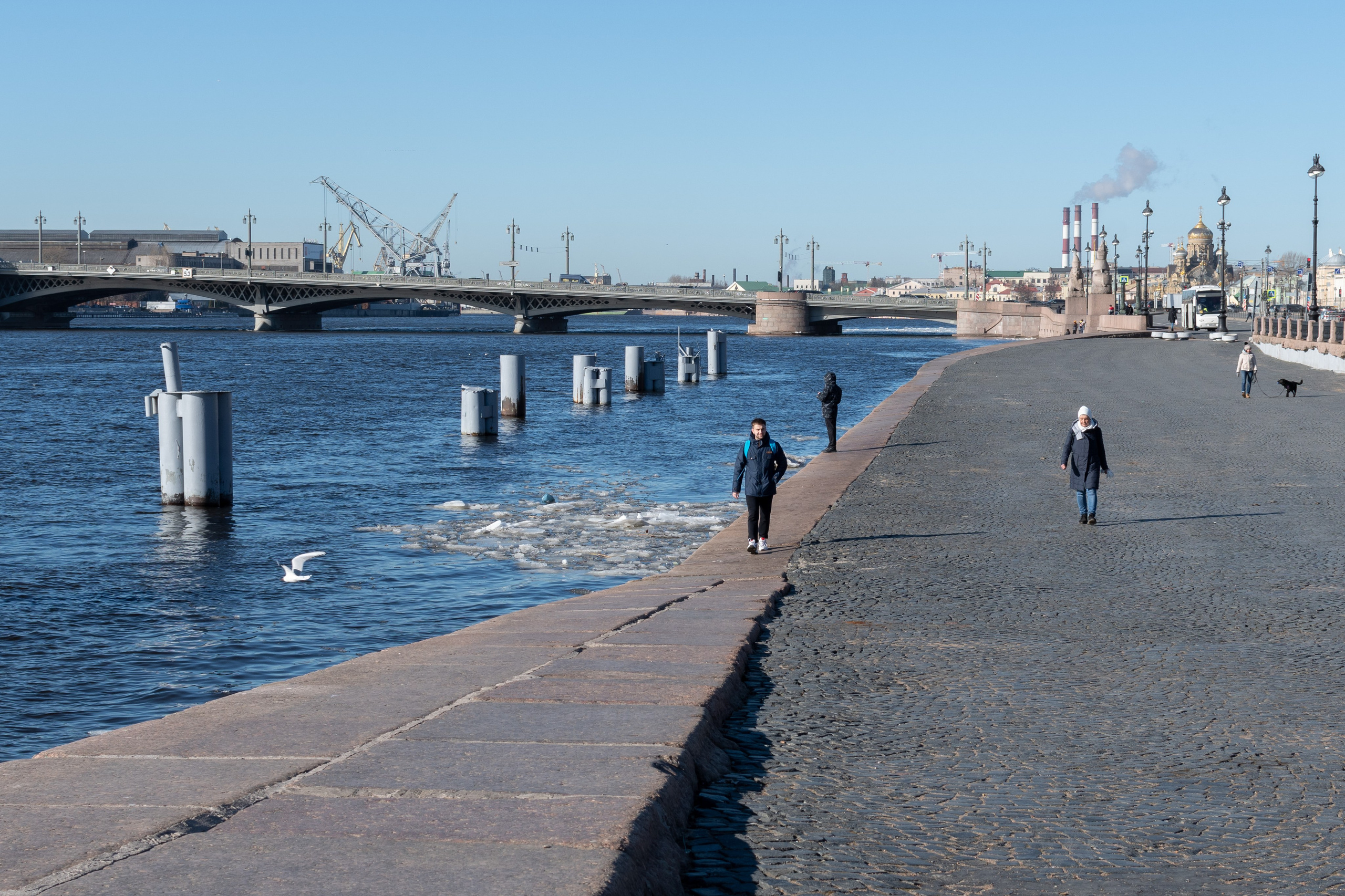 20220411-16 Санкт-Петербург. Дмитрий Ремизов. Фотография, как хобби