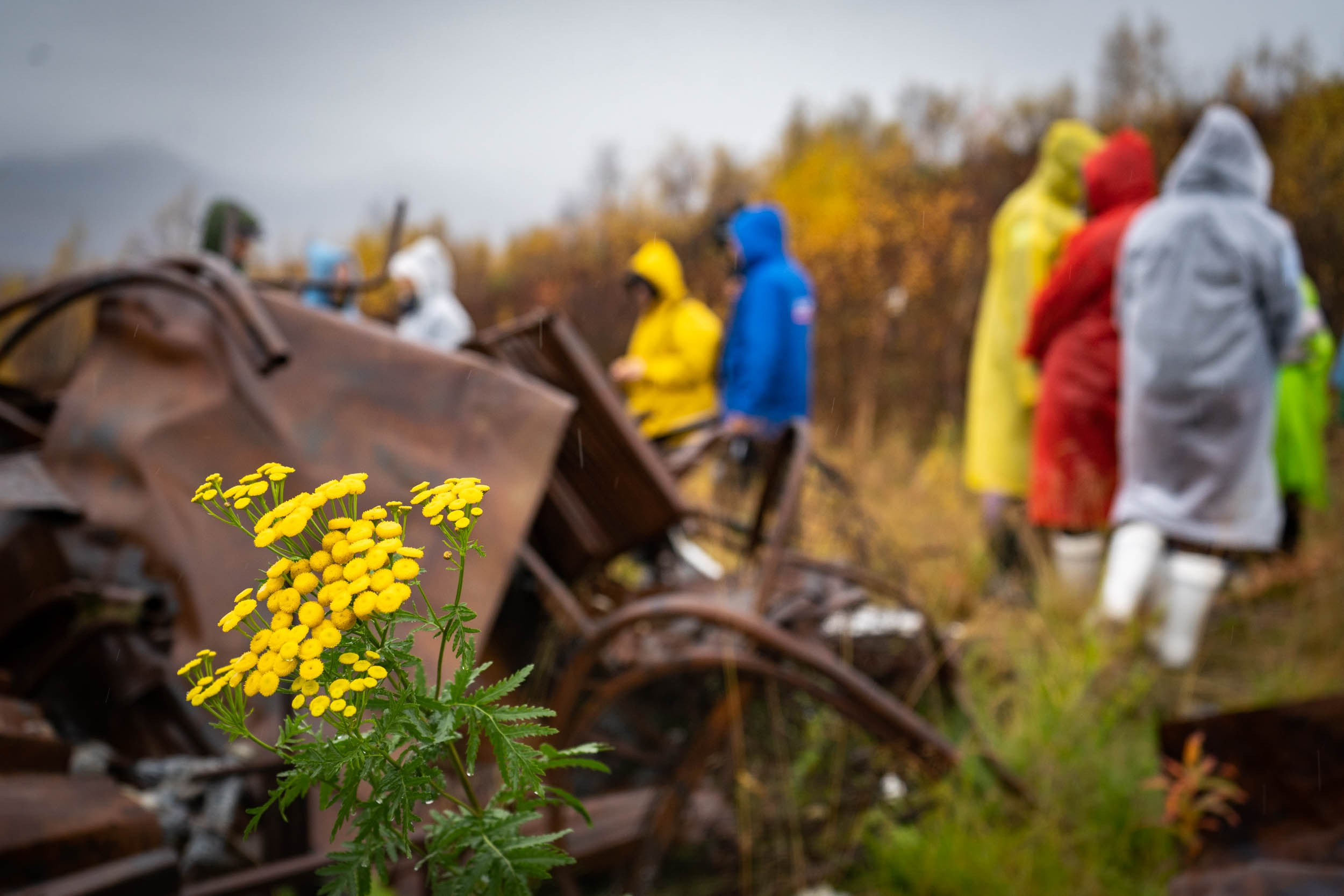 Уборка перрона п.Полярный, станция «110 км». Фотограф Екатерина Зорина