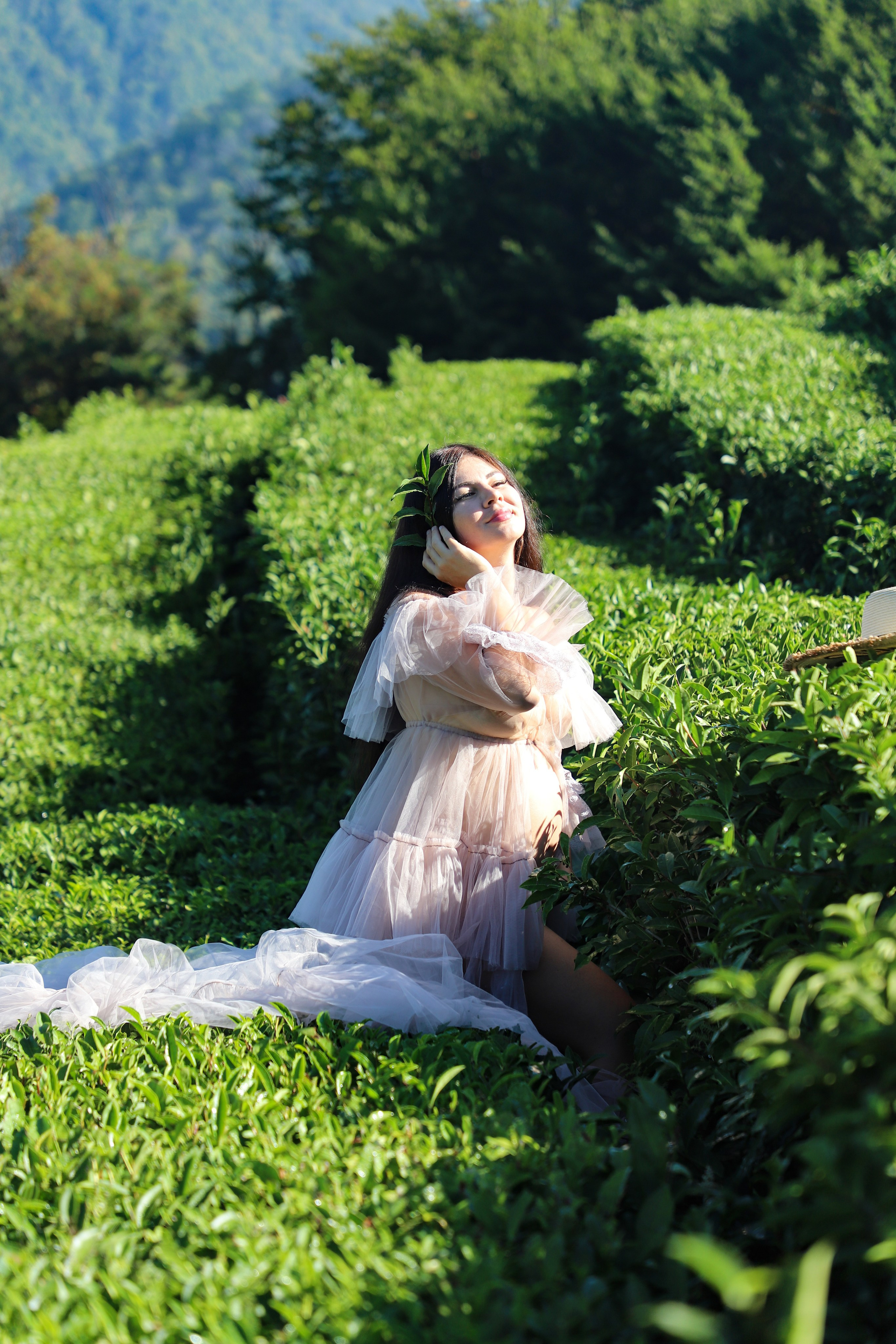 Беремняшка Мацеста чайные плантации 27.08. Главная