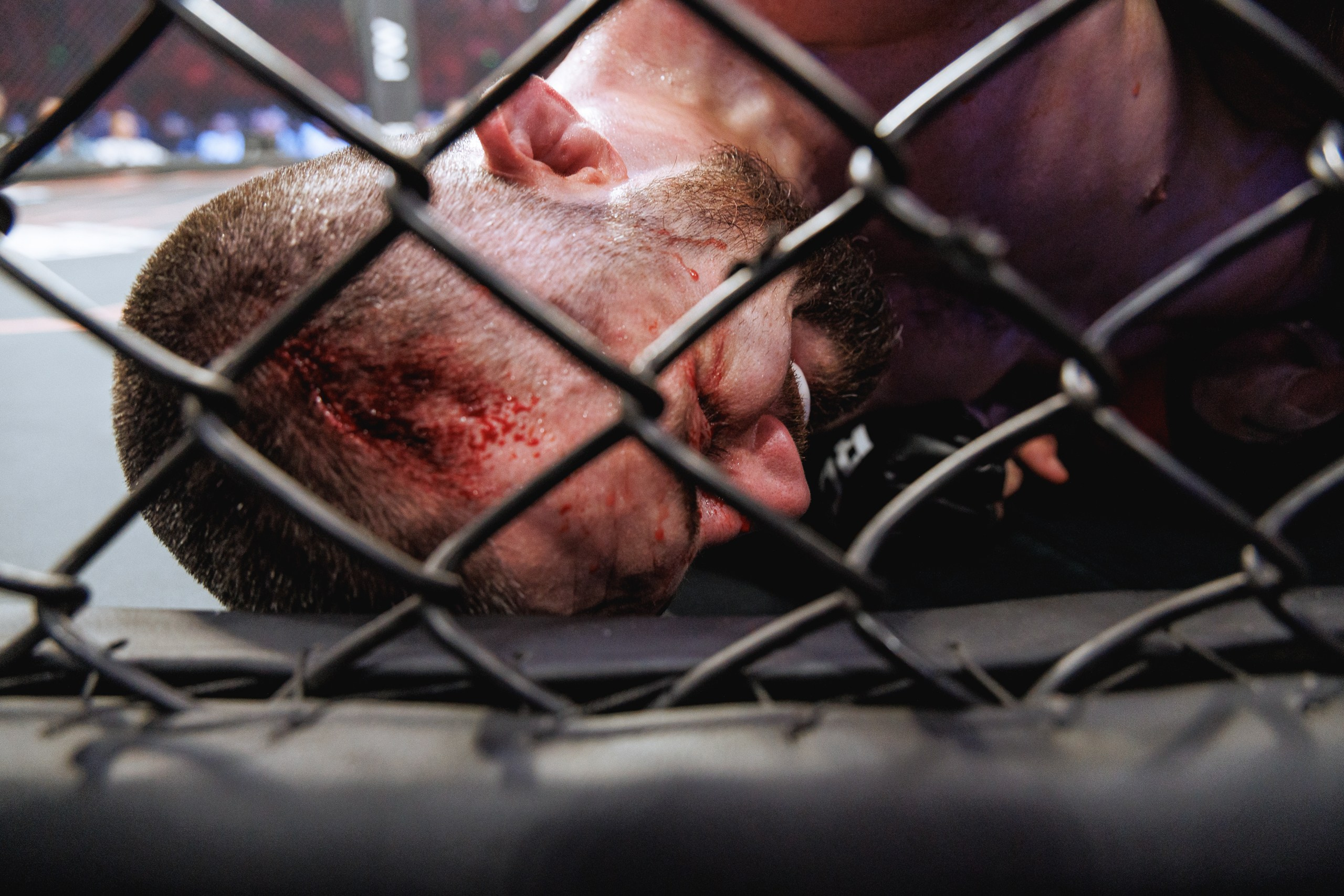 Кубок RCC MMA | Белаз-Шторм. 2025