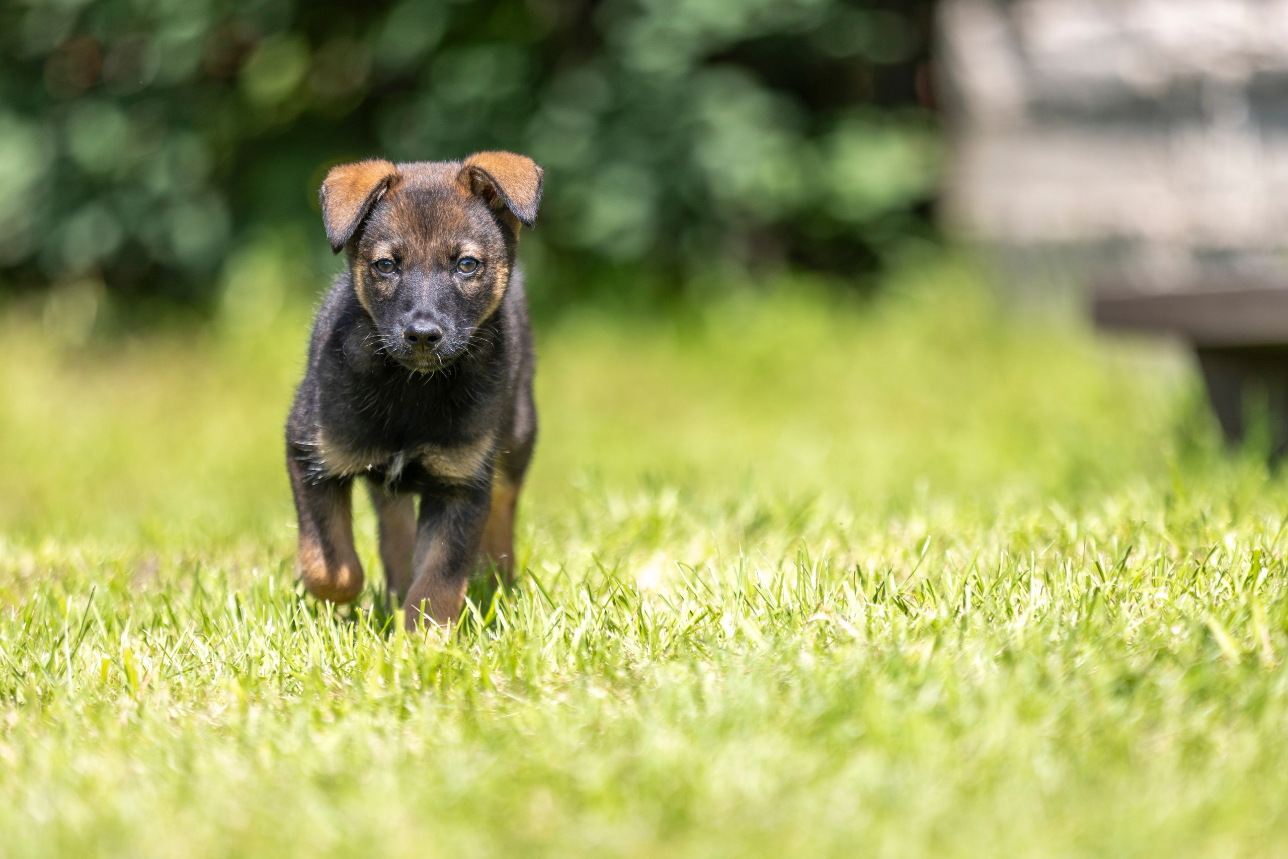 Бездомыши. Фотограф 📸 семейный, предметный, репортажный