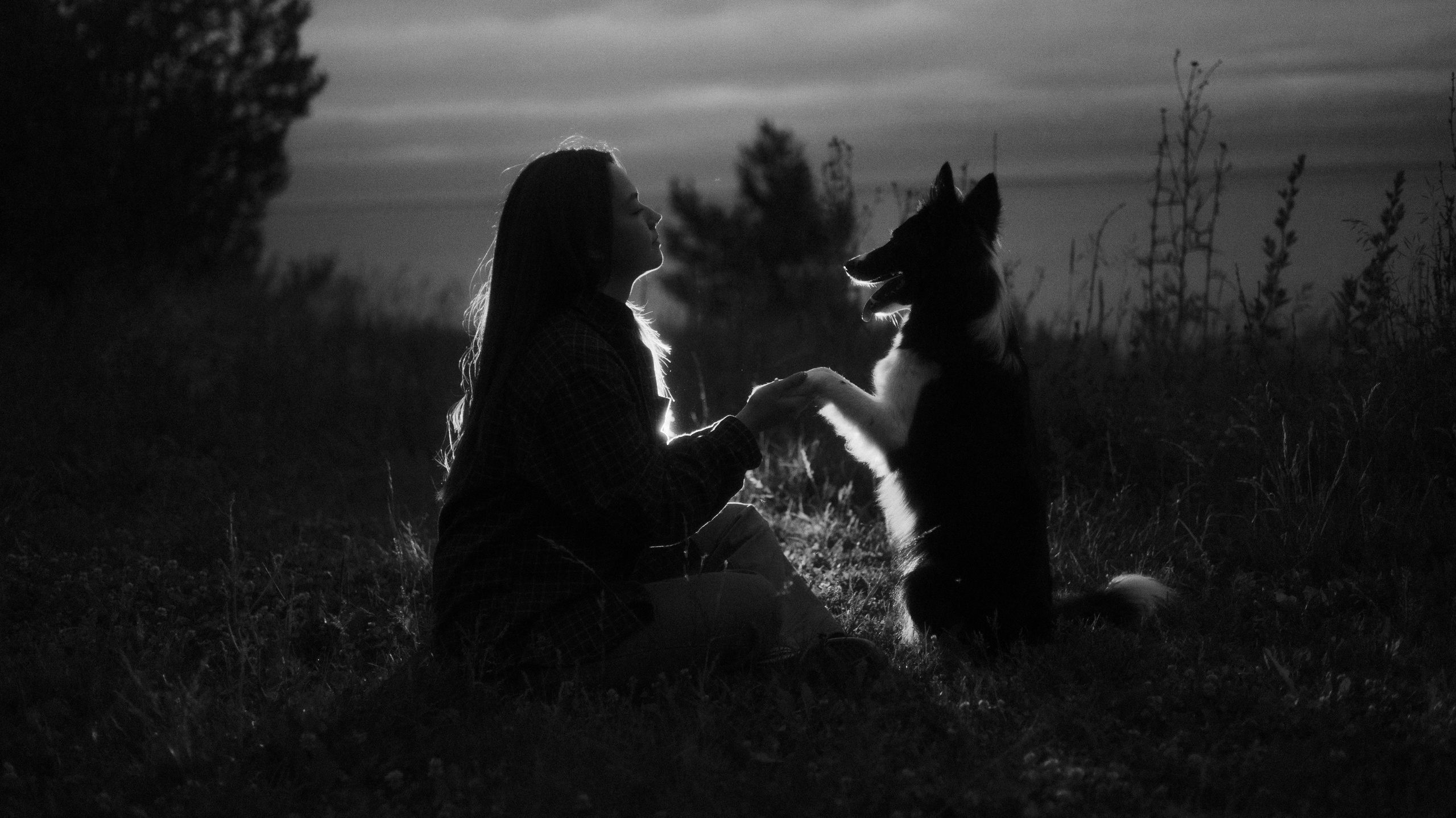 Аделя, Вандер, Шайна и Бая. Фотограф-анималист Богданова Полина