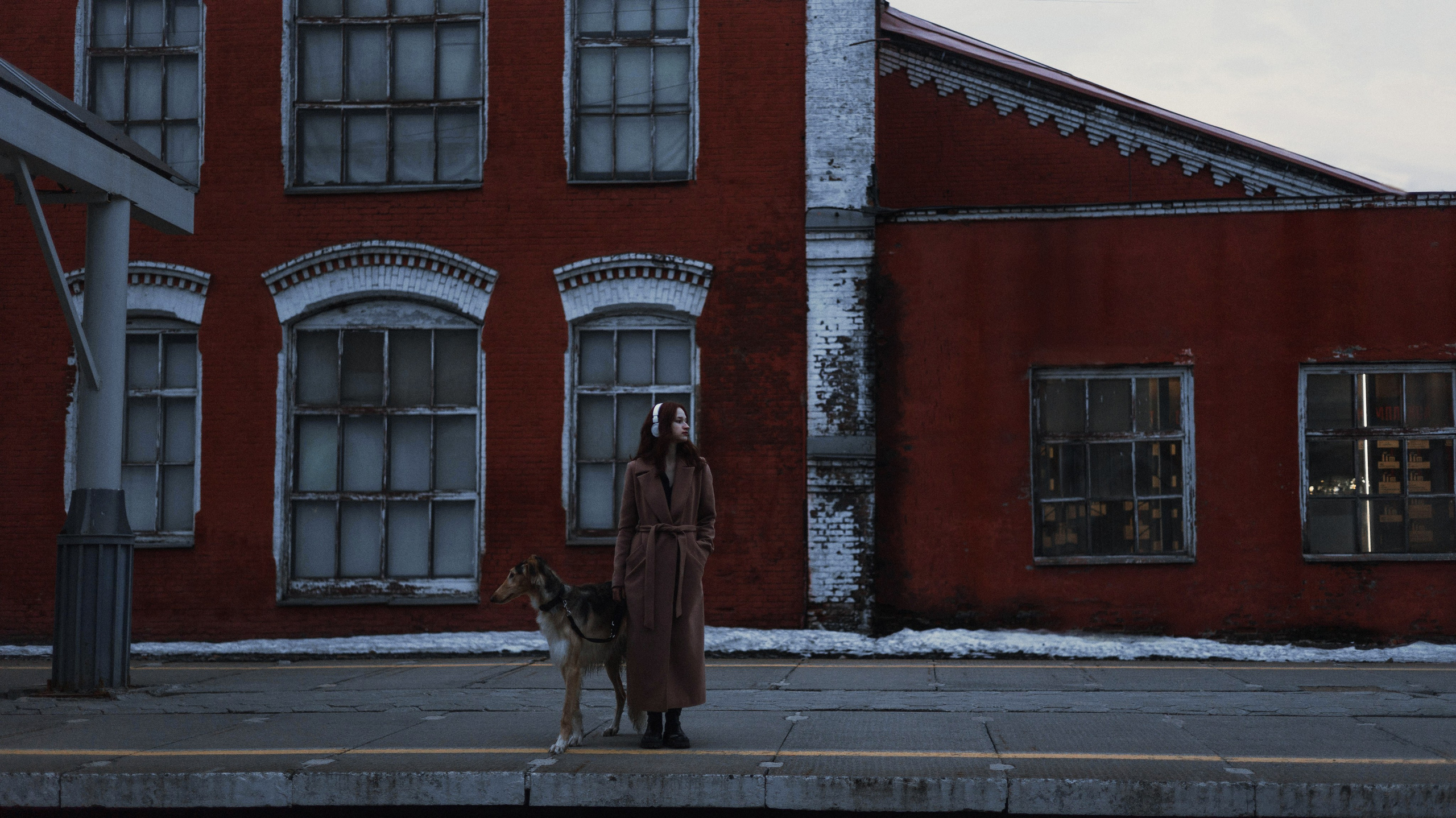 Алёна и Леви. Фотограф-анималист Богданова Полина