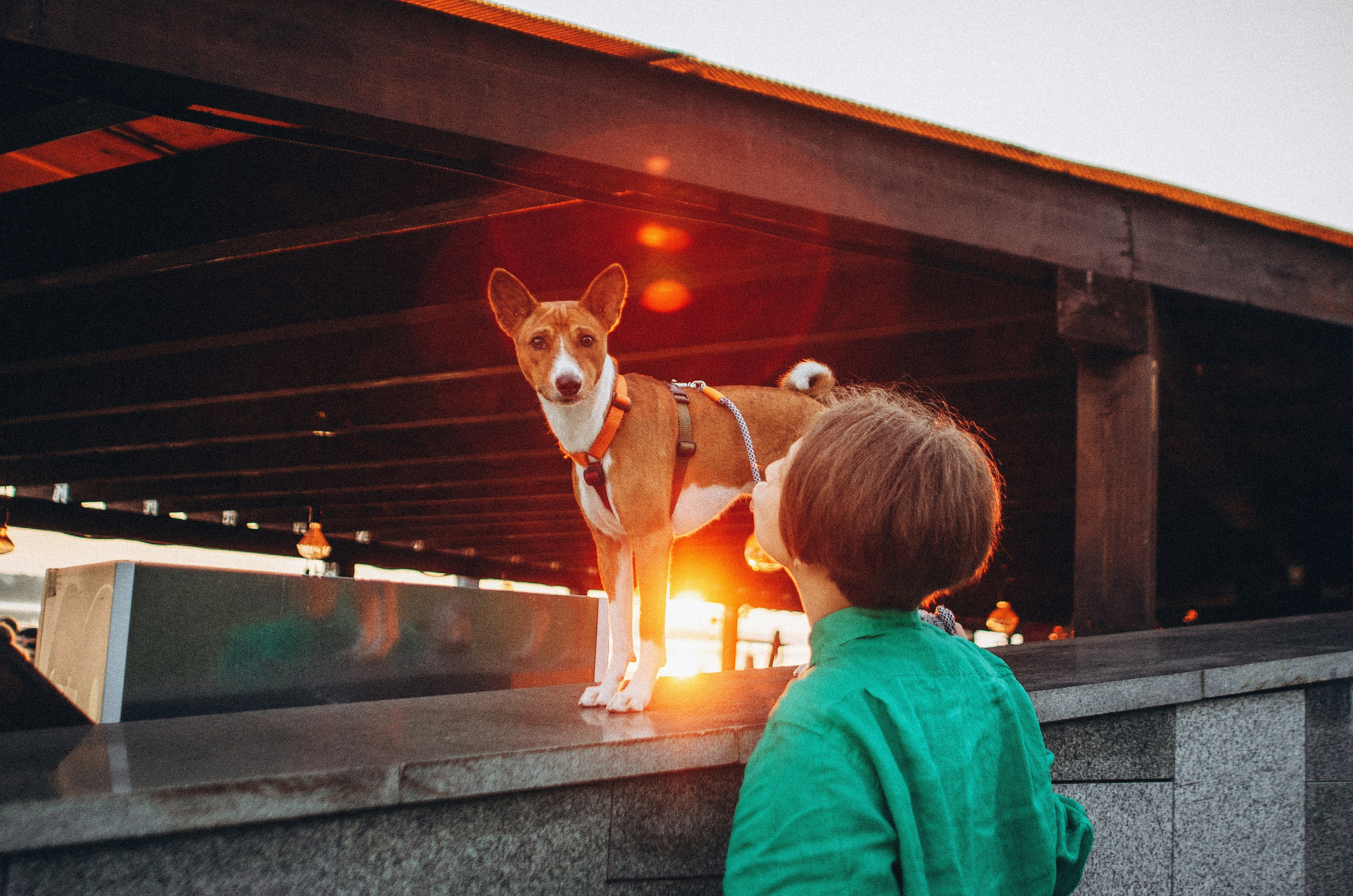 Снежана и Мэнни. Фотограф-анималист Богданова Полина