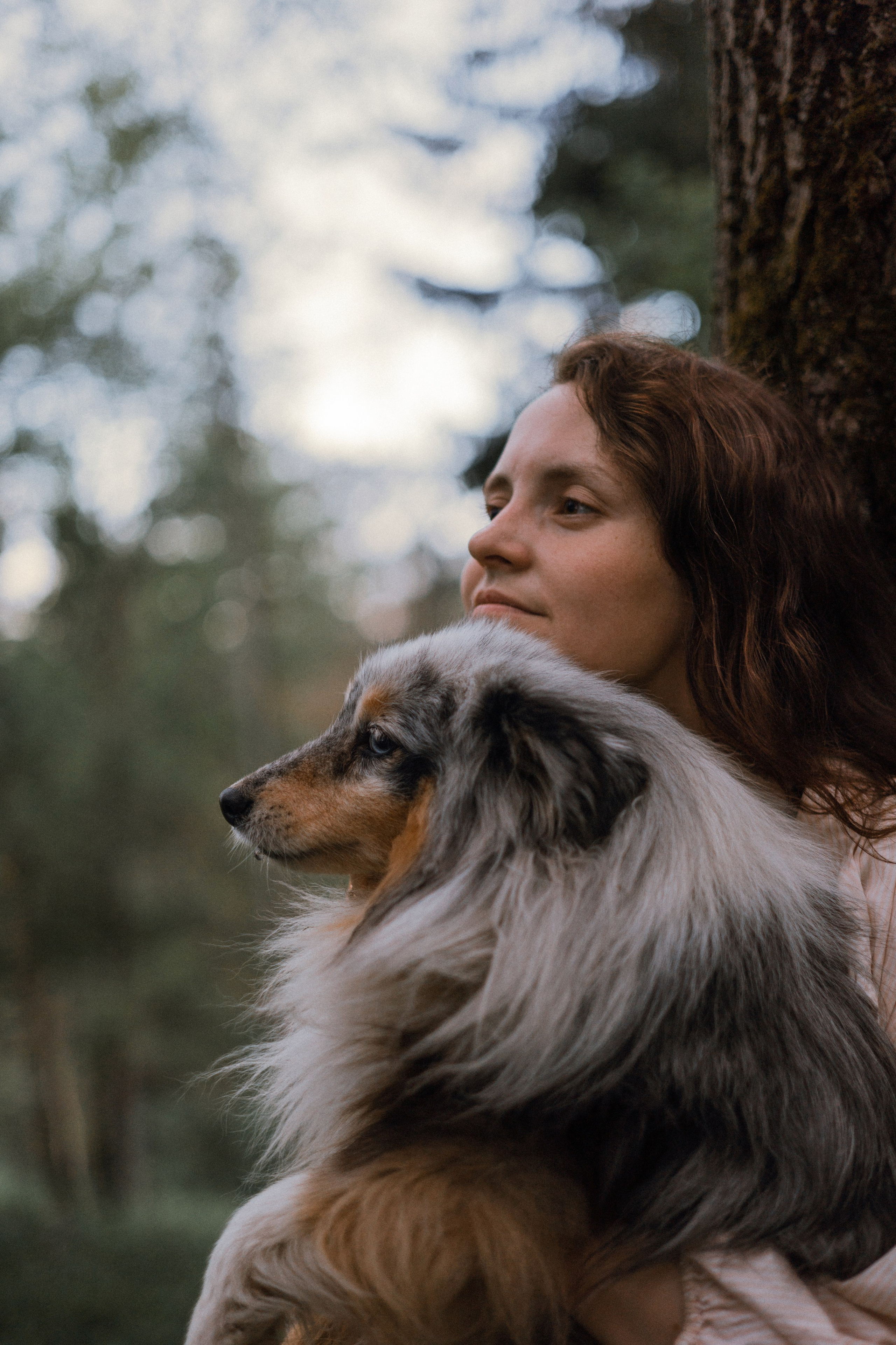 Настя, Шуня, Милка и Тигуан. Фотограф-анималист Богданова Полина