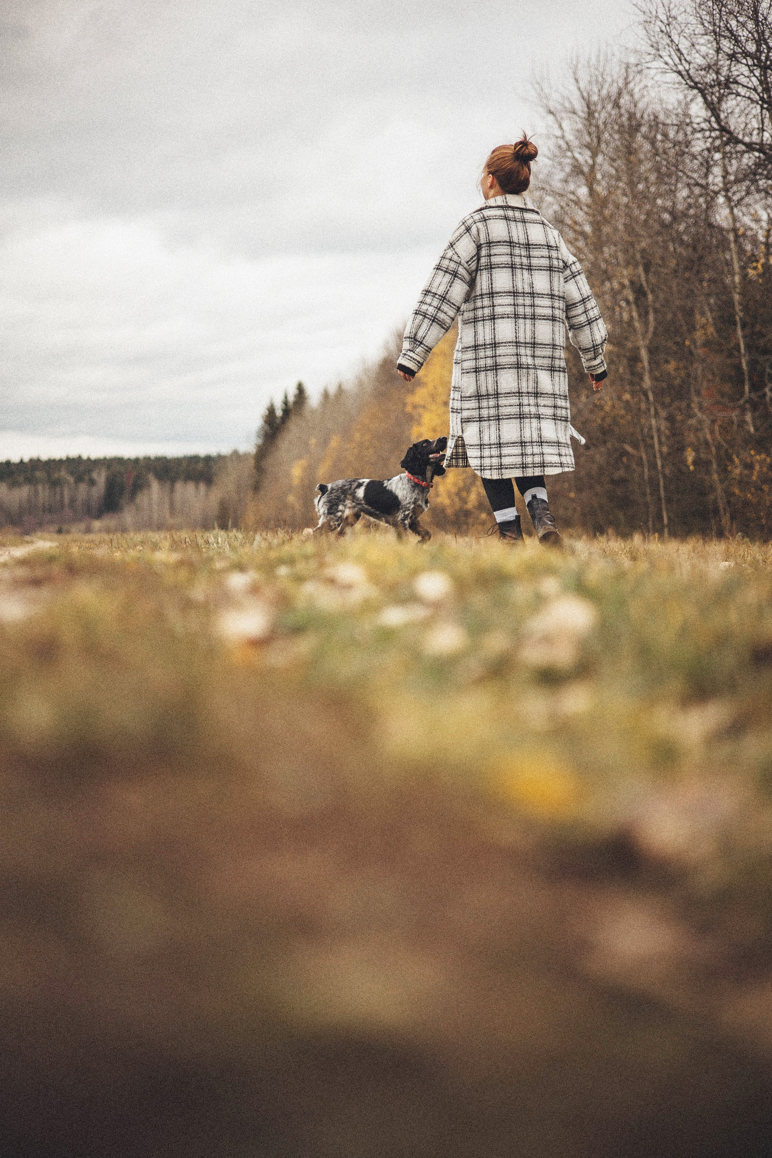 Вика и Ава. Фотограф-анималист Богданова Полина