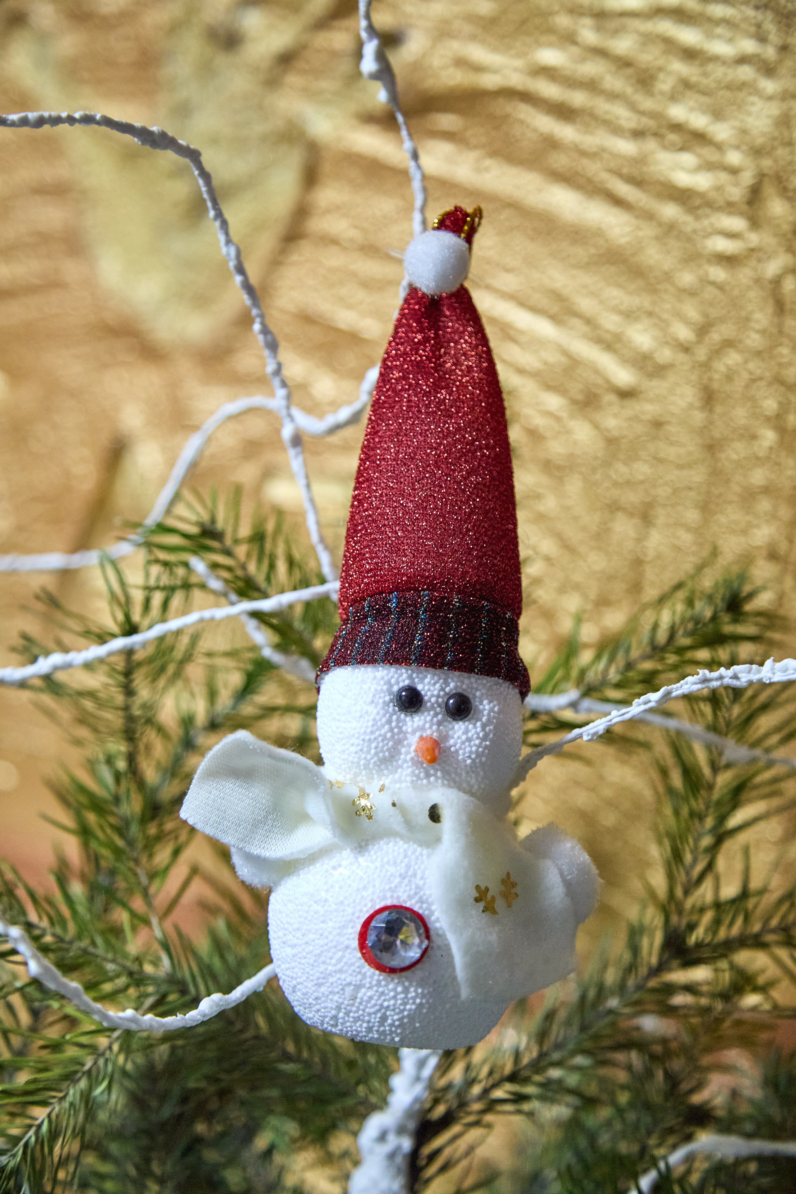 Новогодний Омск 2025. Фотограф Омск | Александр Вандеров