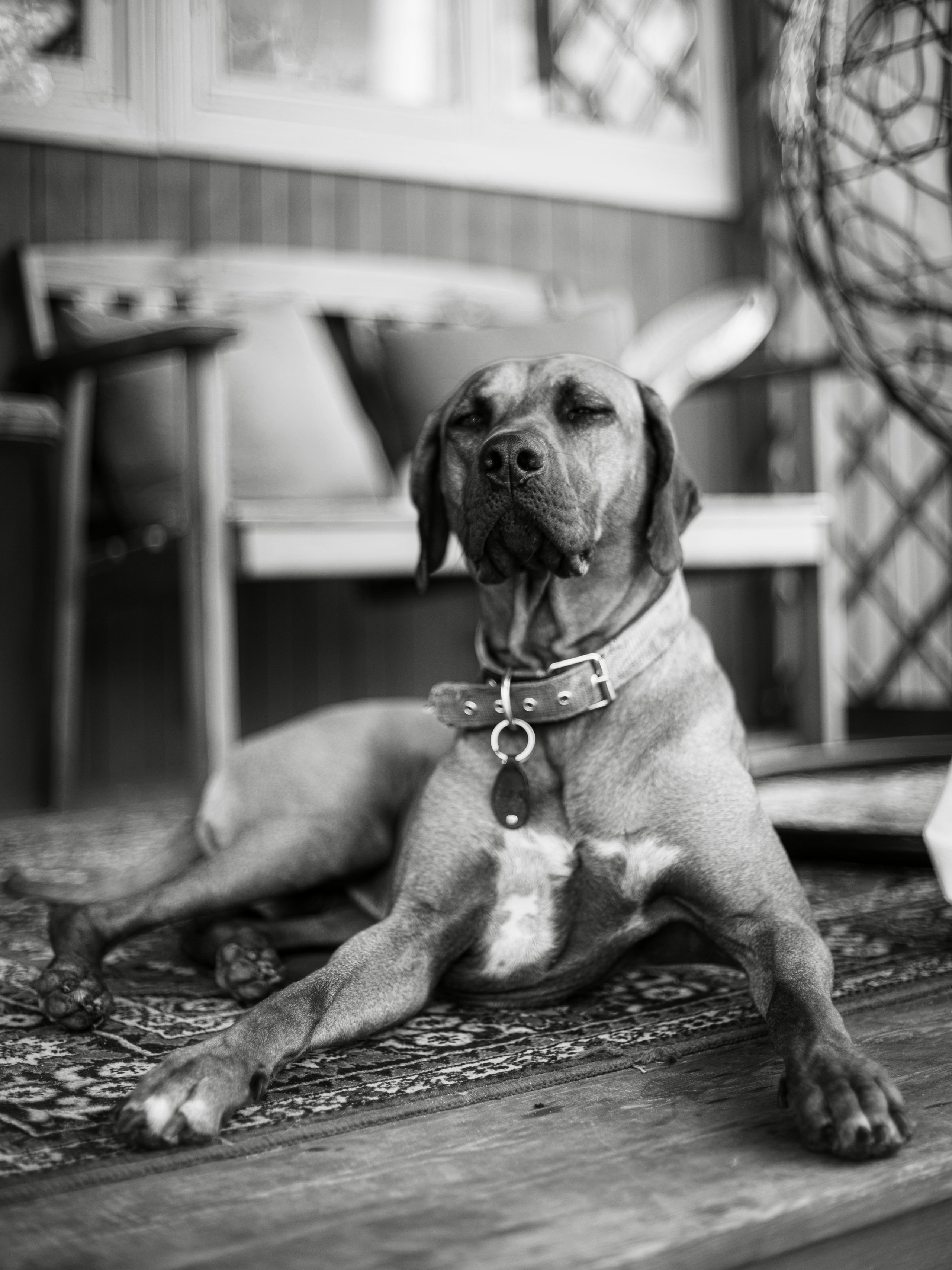 Кинематографическая схемка (актерская) в стиле 60-х годов. Ekaterina Beridze