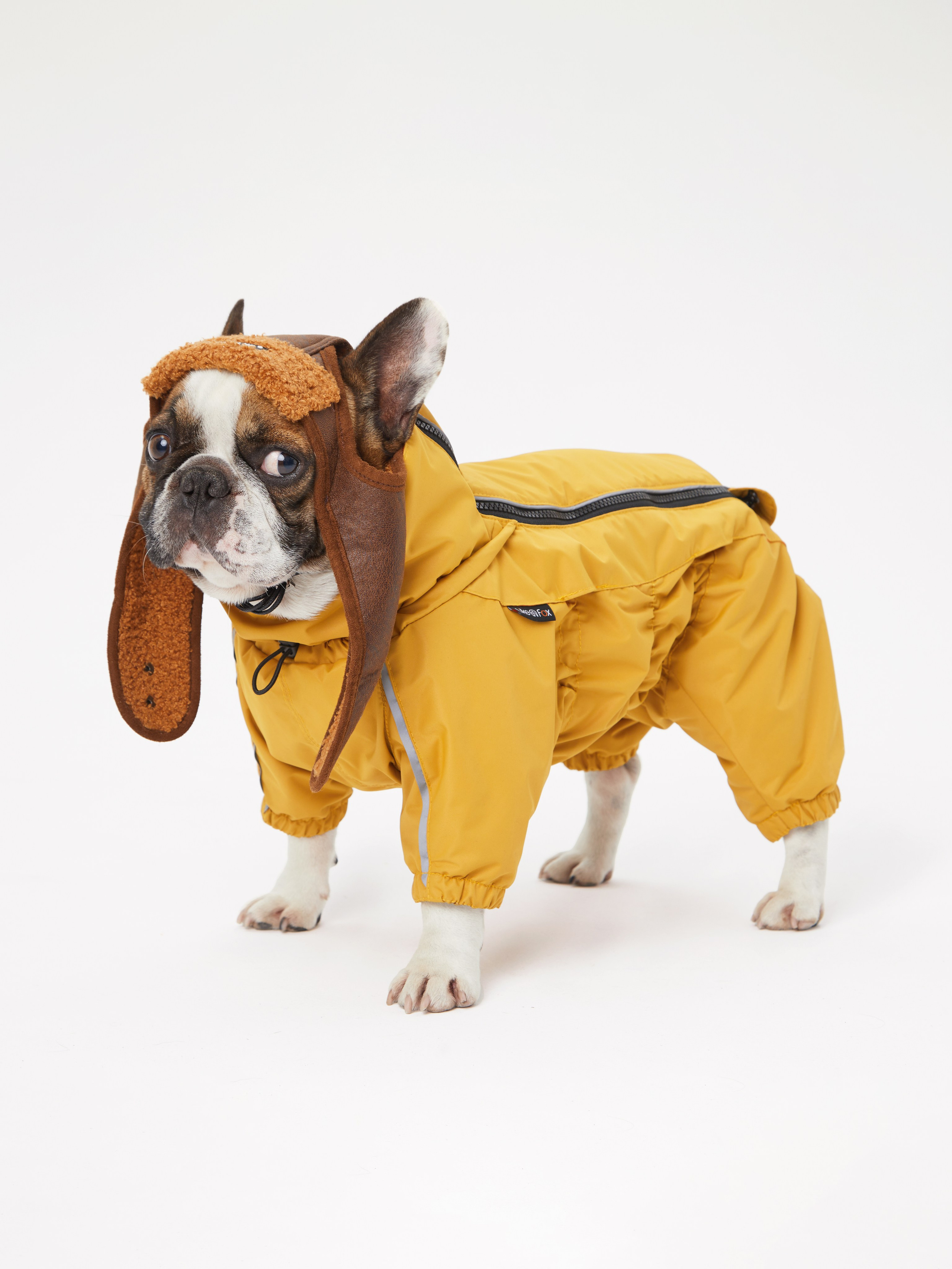 Каталоги. Pets Photography / Фотограф Собак
