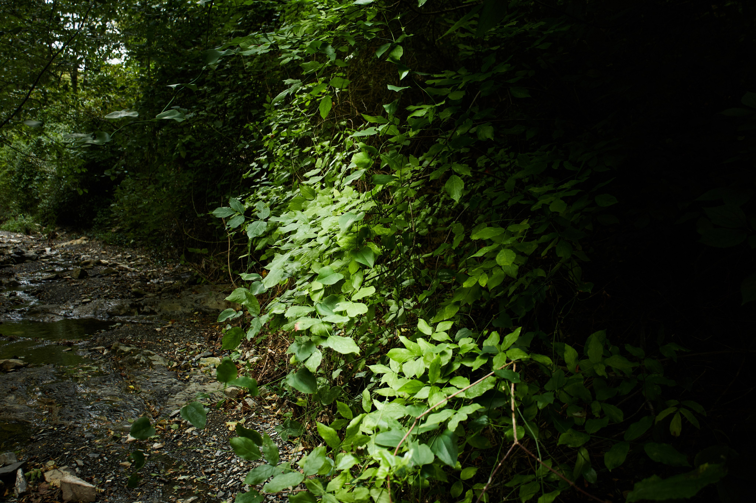 Пейзажи и уличная съёмка