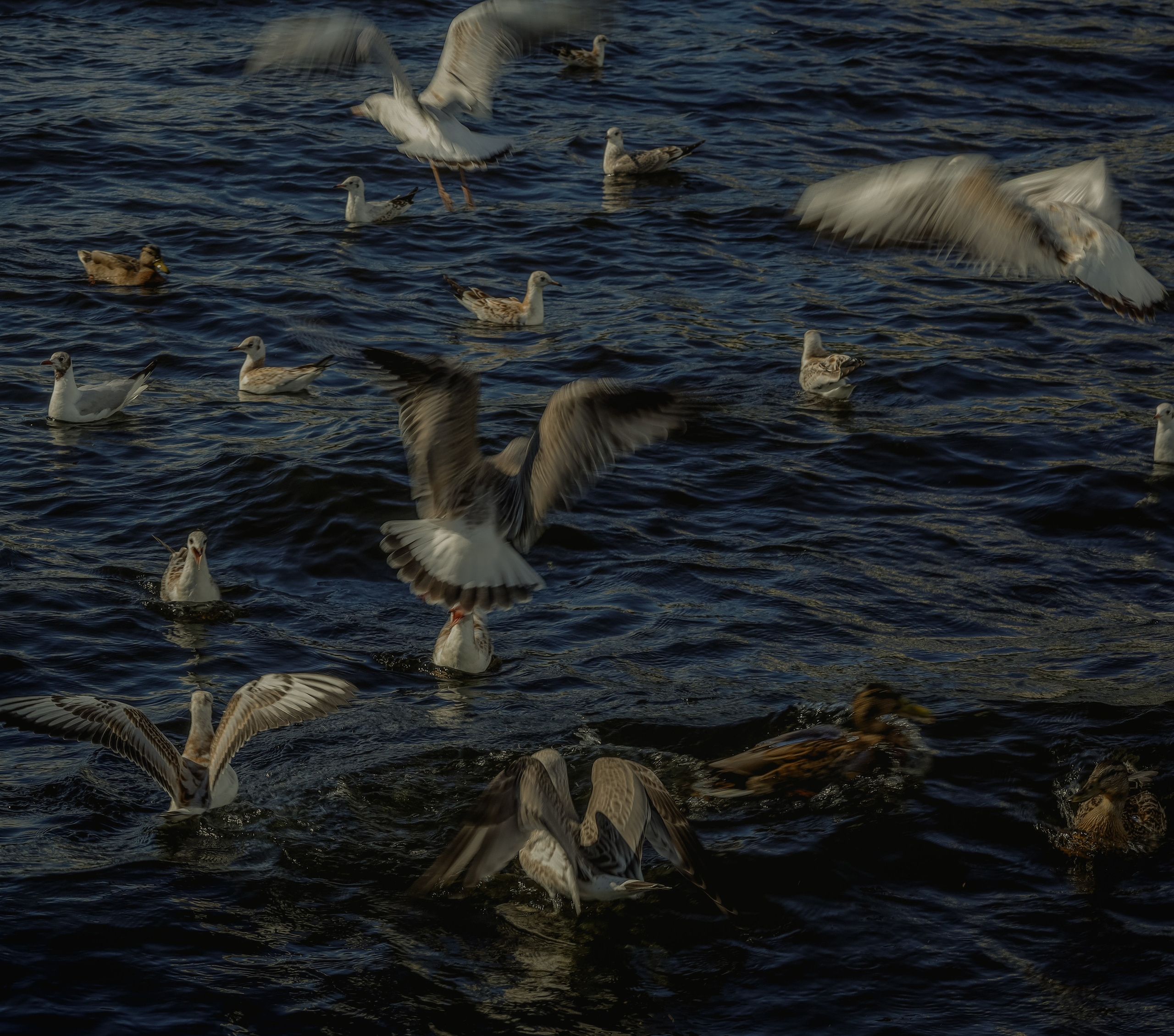 " Искусство не сможет существовать без природы "...