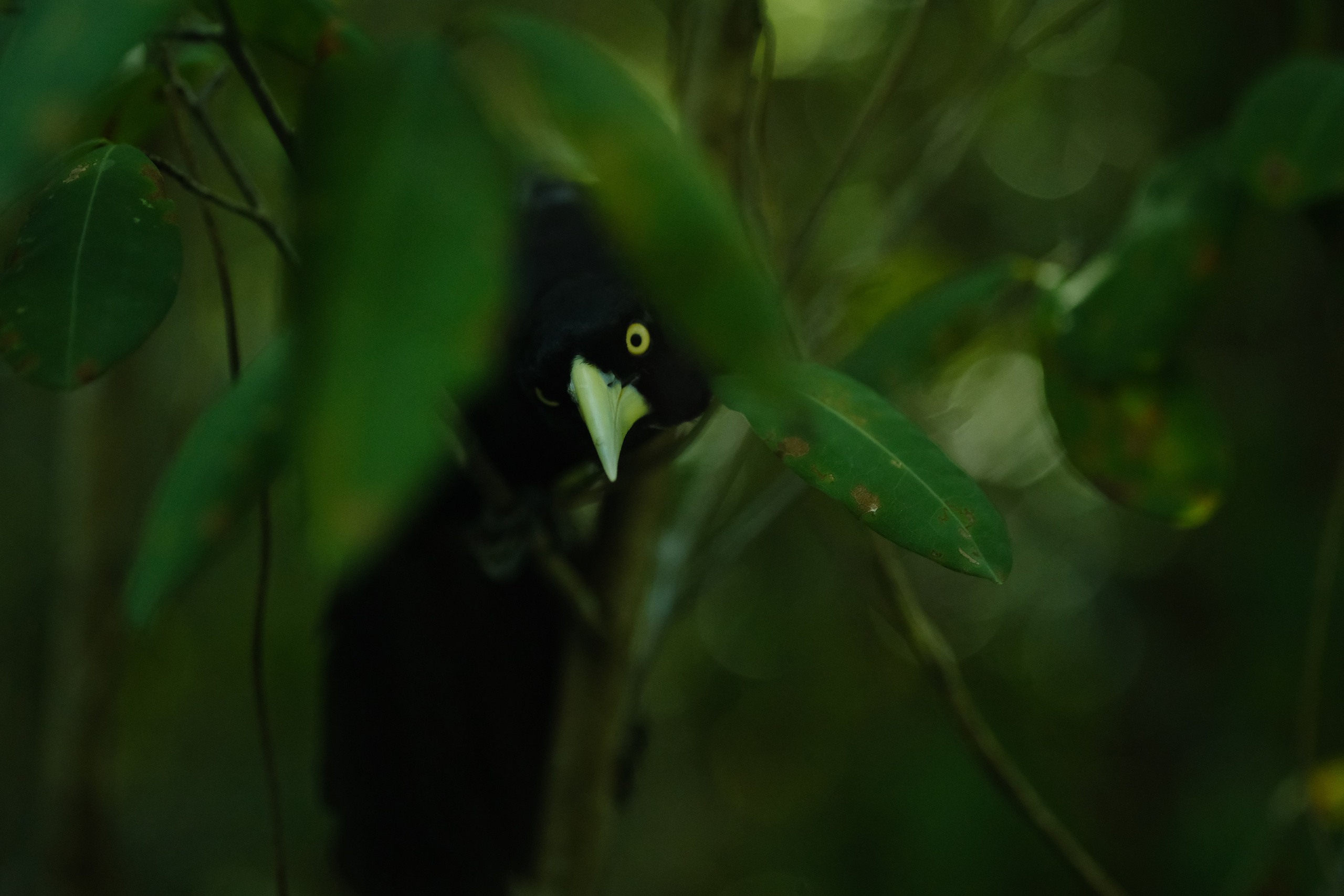 Margarita Rodionova — a contemporary lens-based artist currently working in Cancun, Mexico