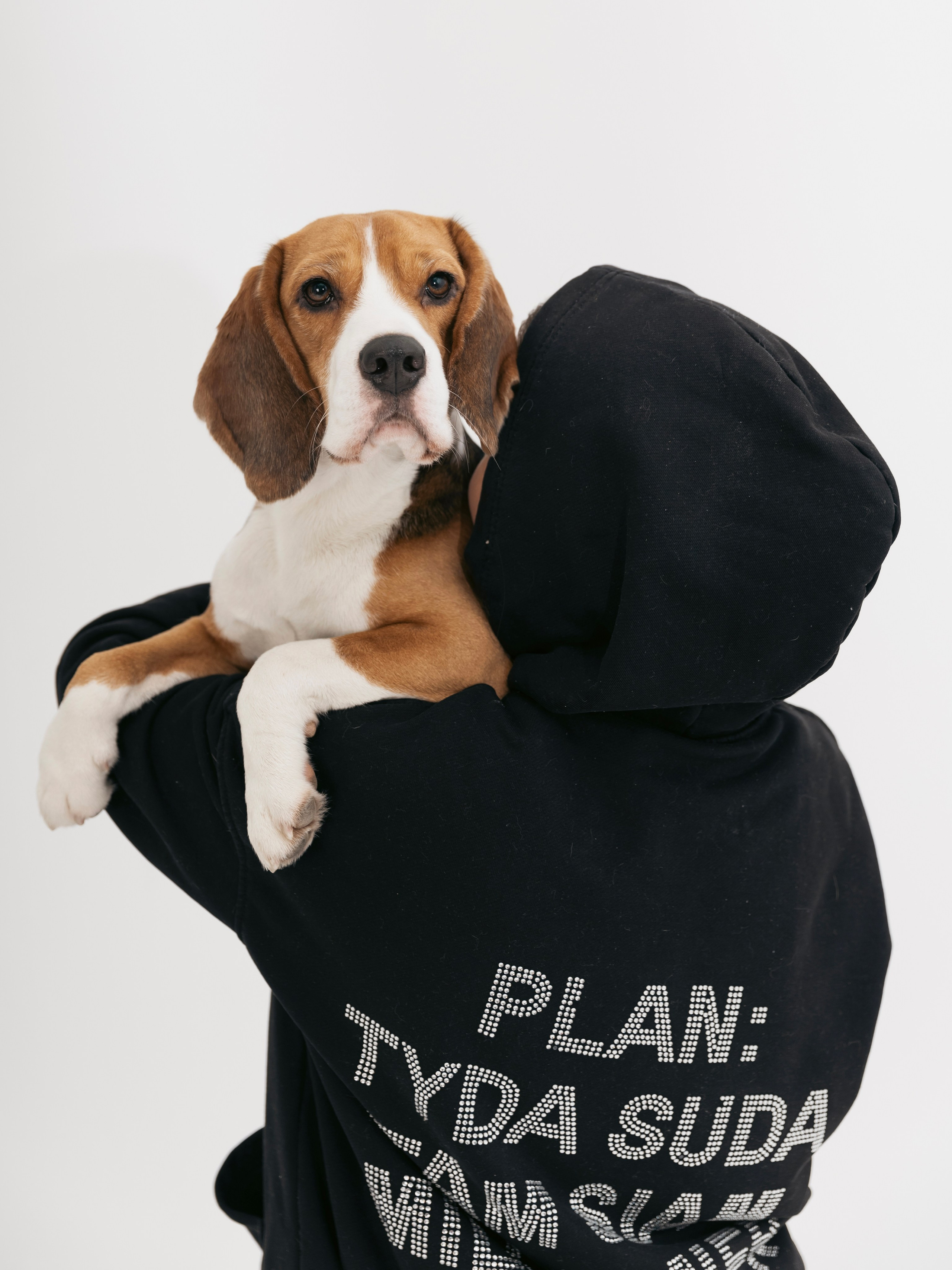 Биглемания. DRIPSTOCK MAG