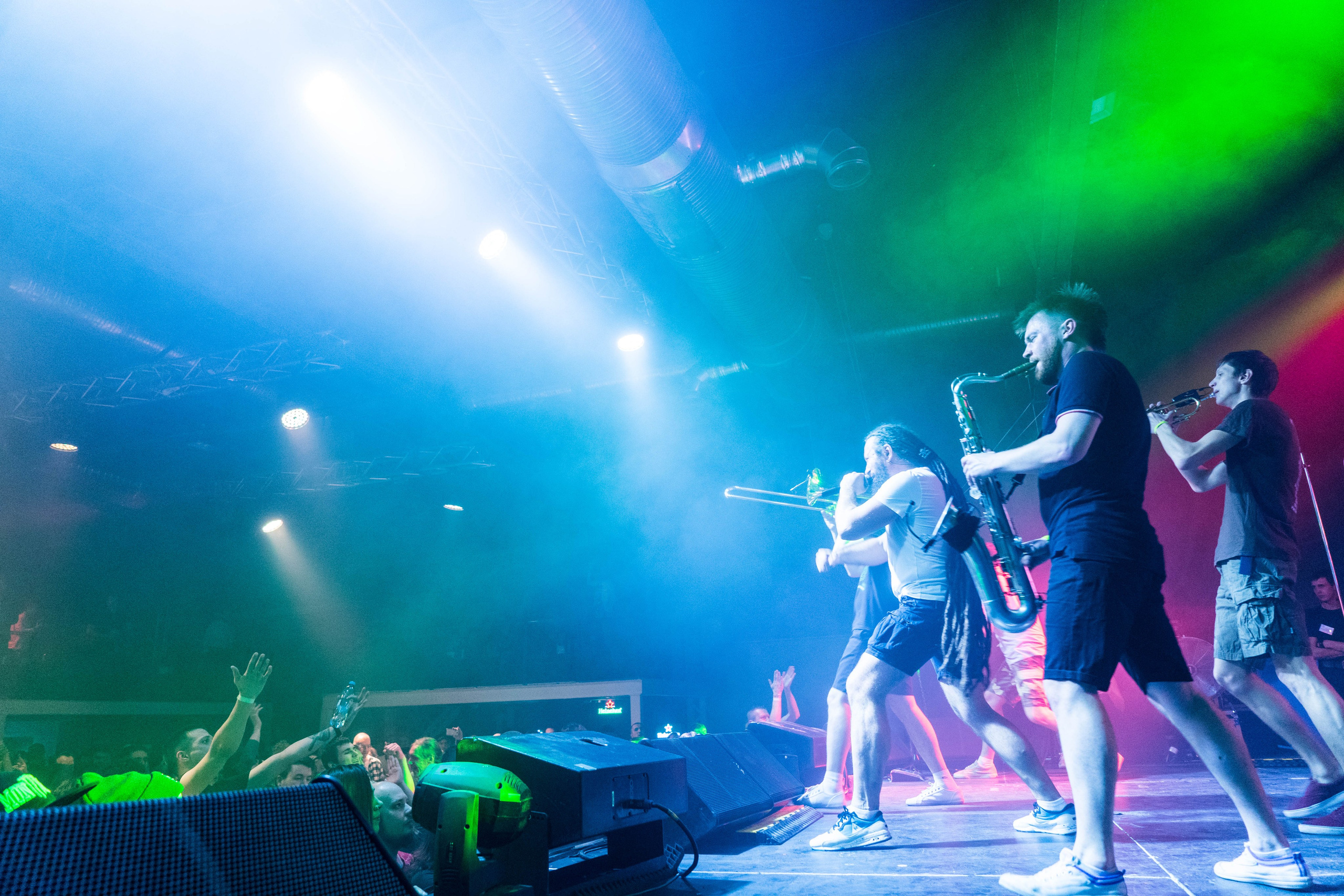 Distamper. Твой фотограф — Полосатый кот