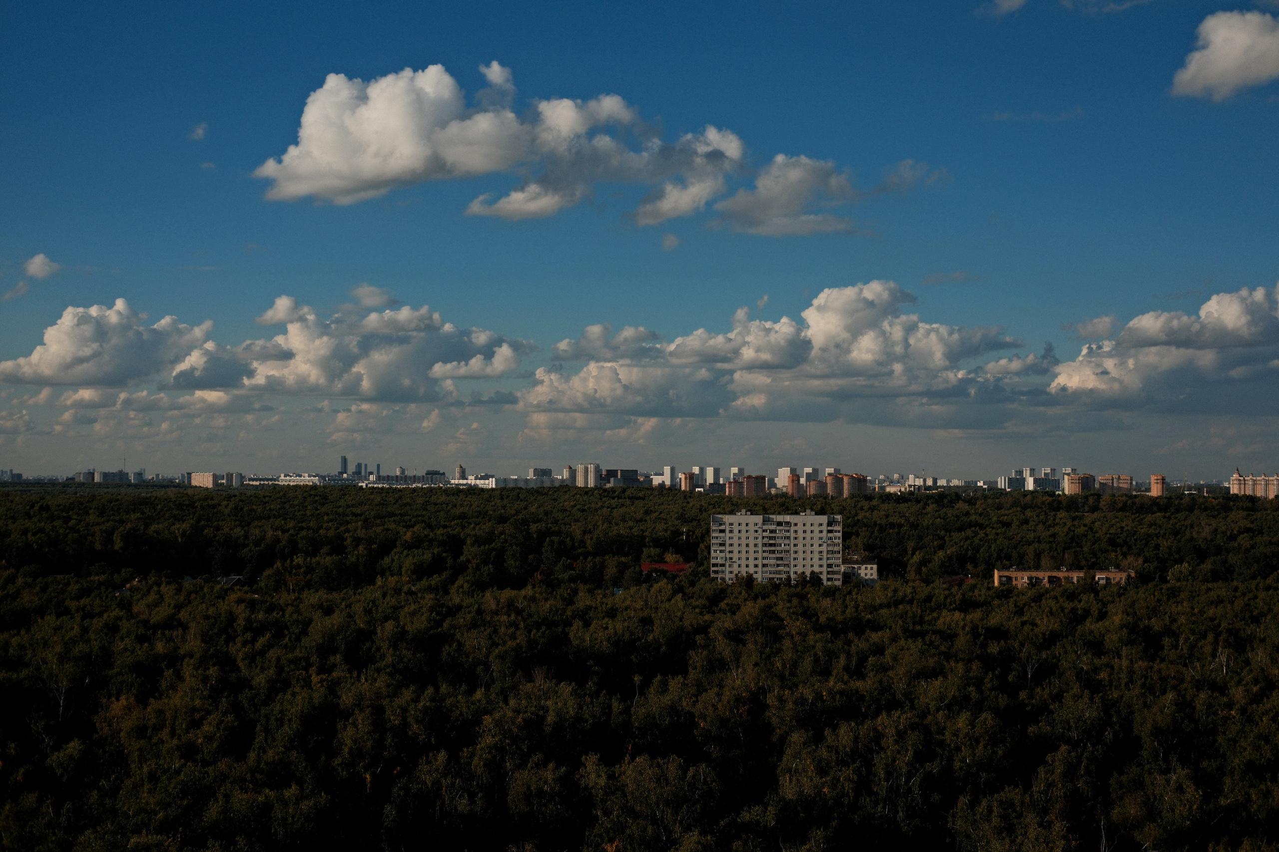 Абстракция. Уличный фотограф Владимир Борисов. Москва