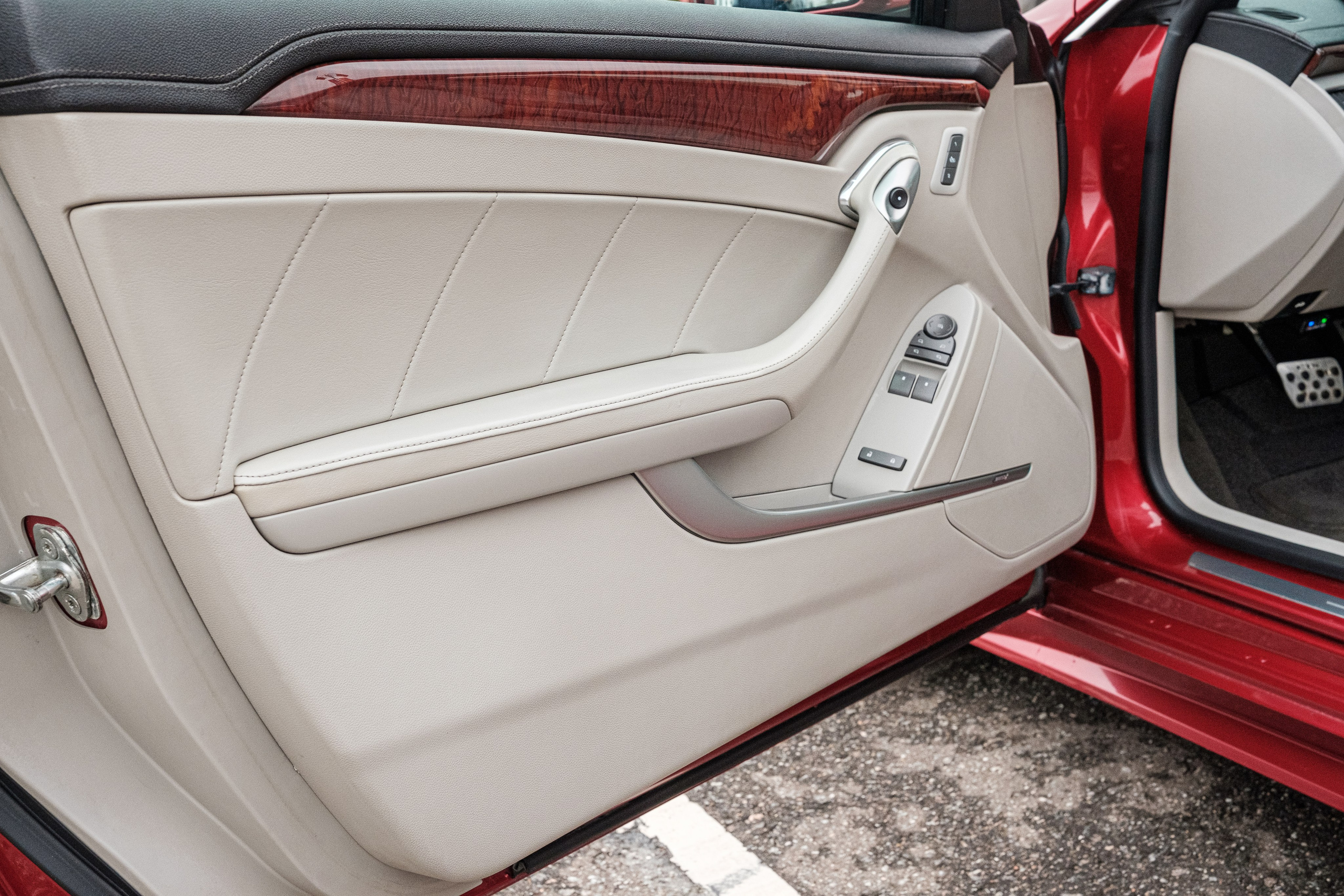 Кэдди. Алексей Никифоров фотограф Москва, Химки