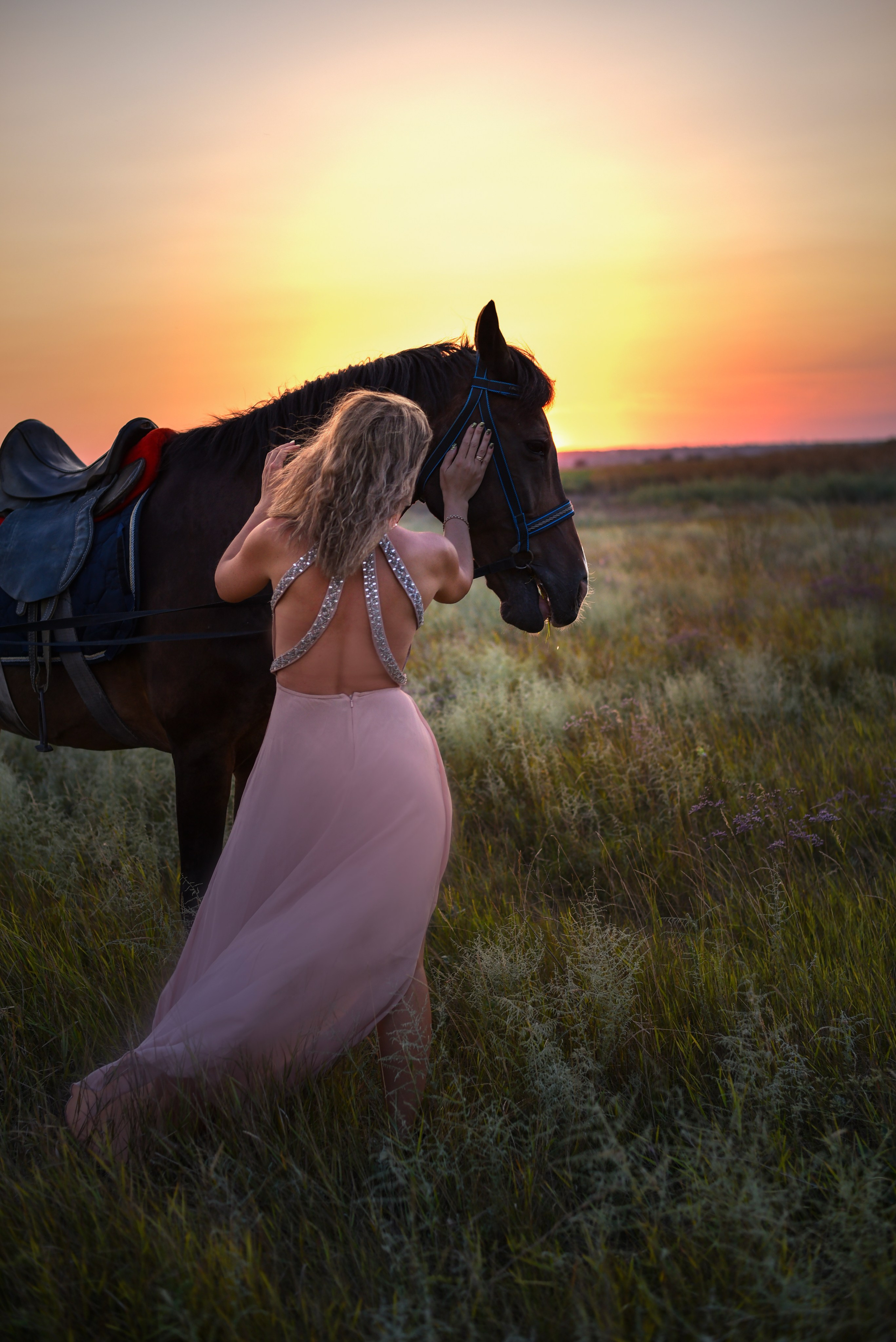 Леди и лошадь. Главная