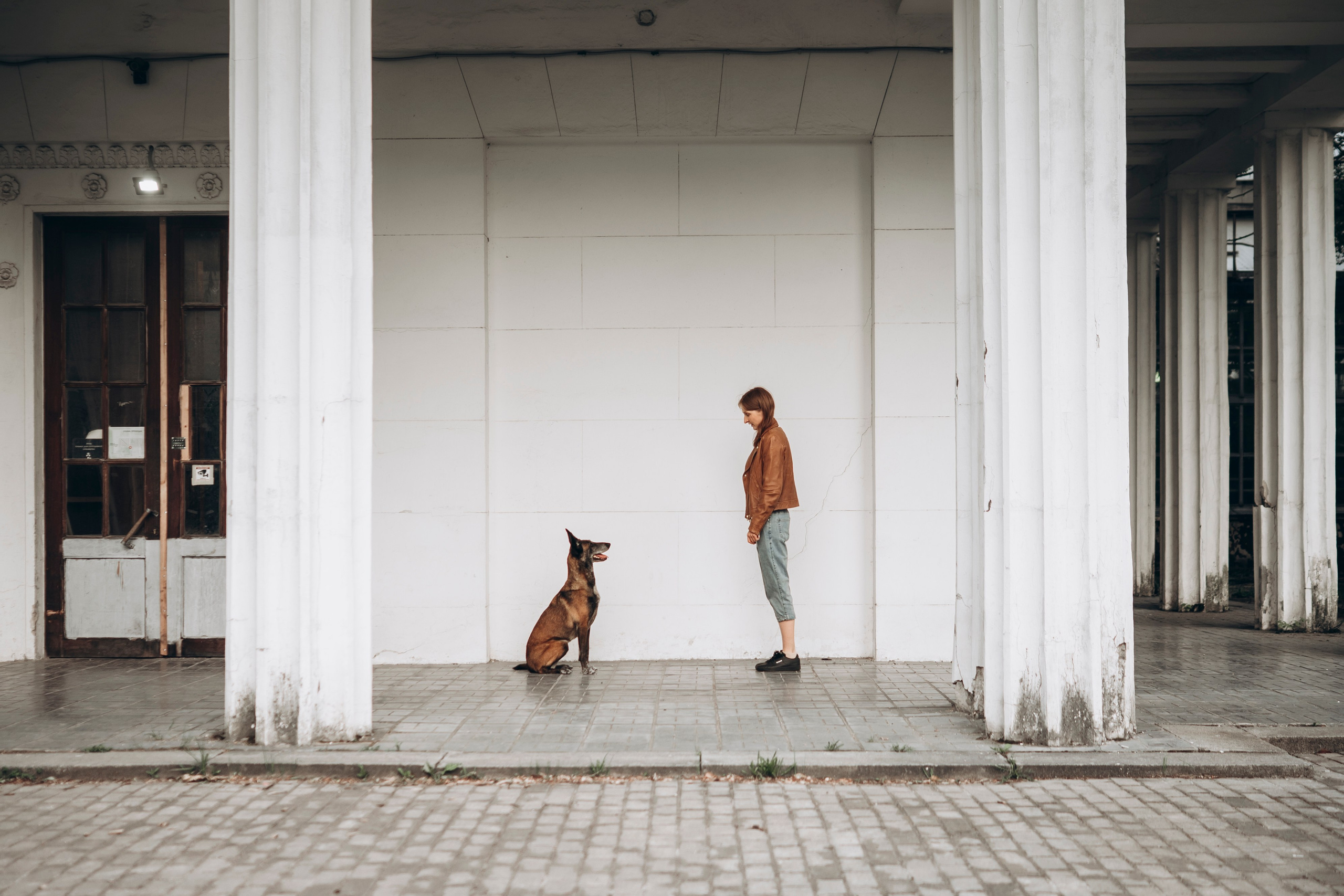 Вика, Ари и Нави. Семейный фотограф анималист Ананьева Мария — Москва