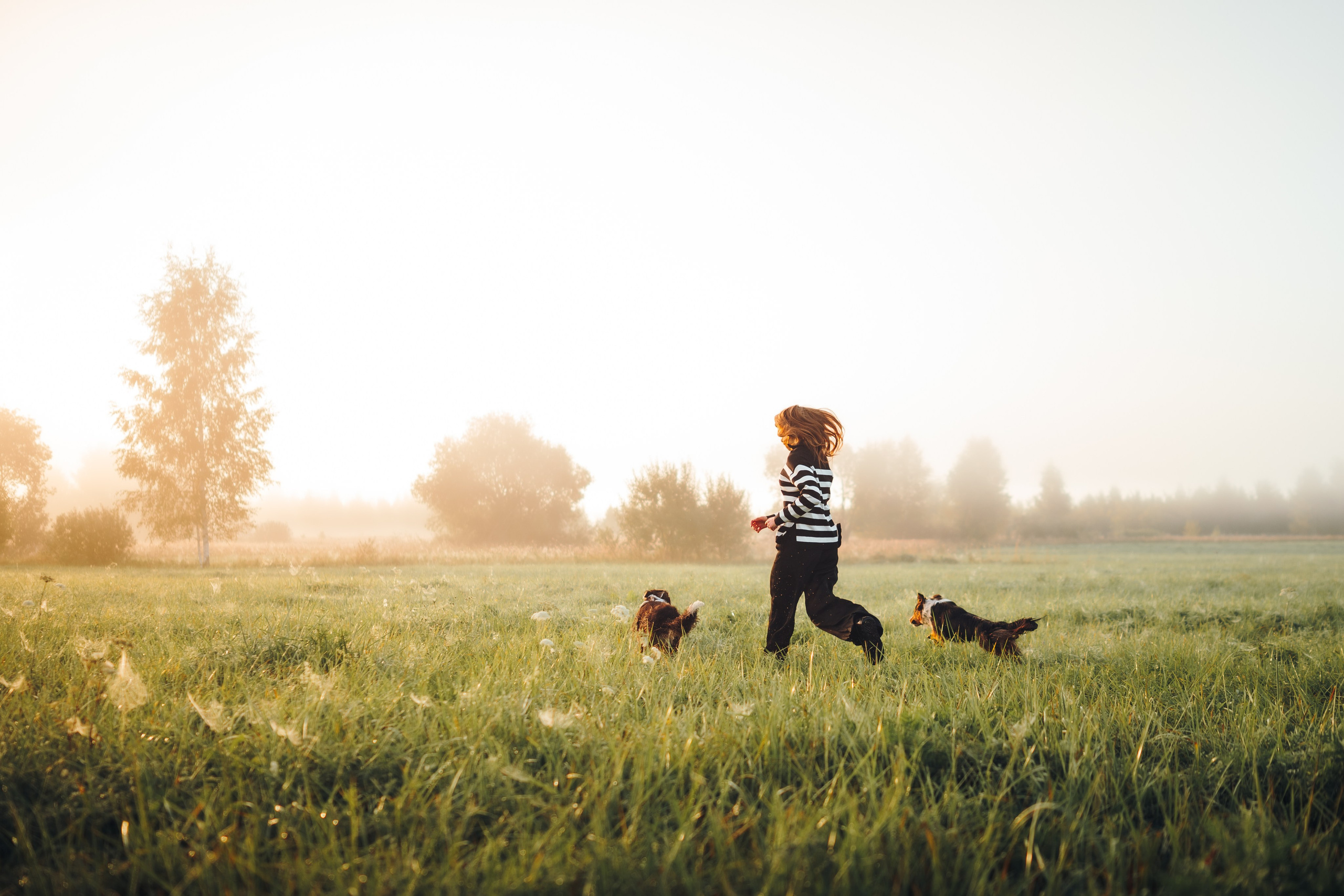 Саша, Флик и Эсприт. Семейный фотограф анималист Ананьева Мария — Москва