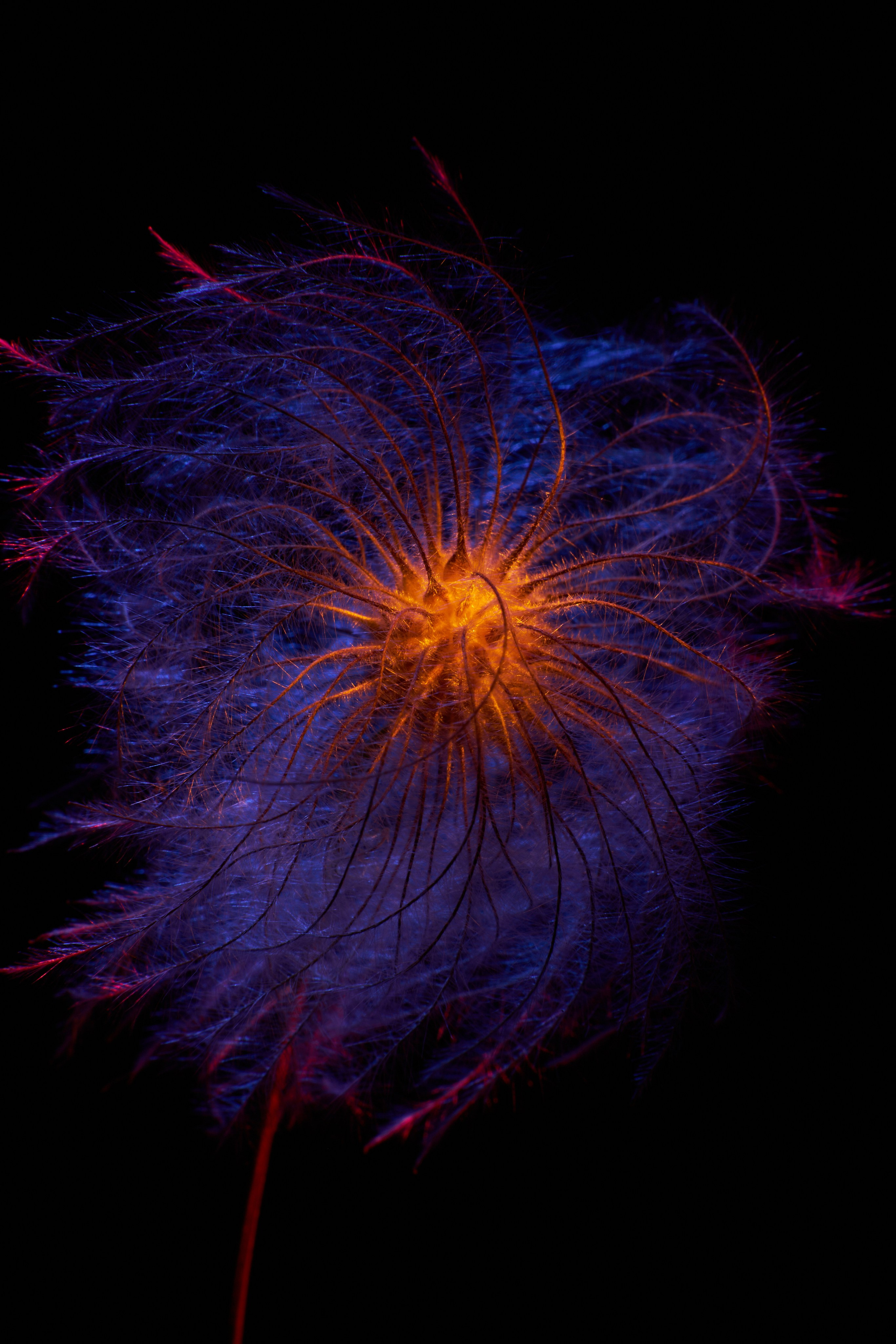 «Красок Тьма Полна». Арт-фотограф во Владивостоке Дмитрий Осипчук