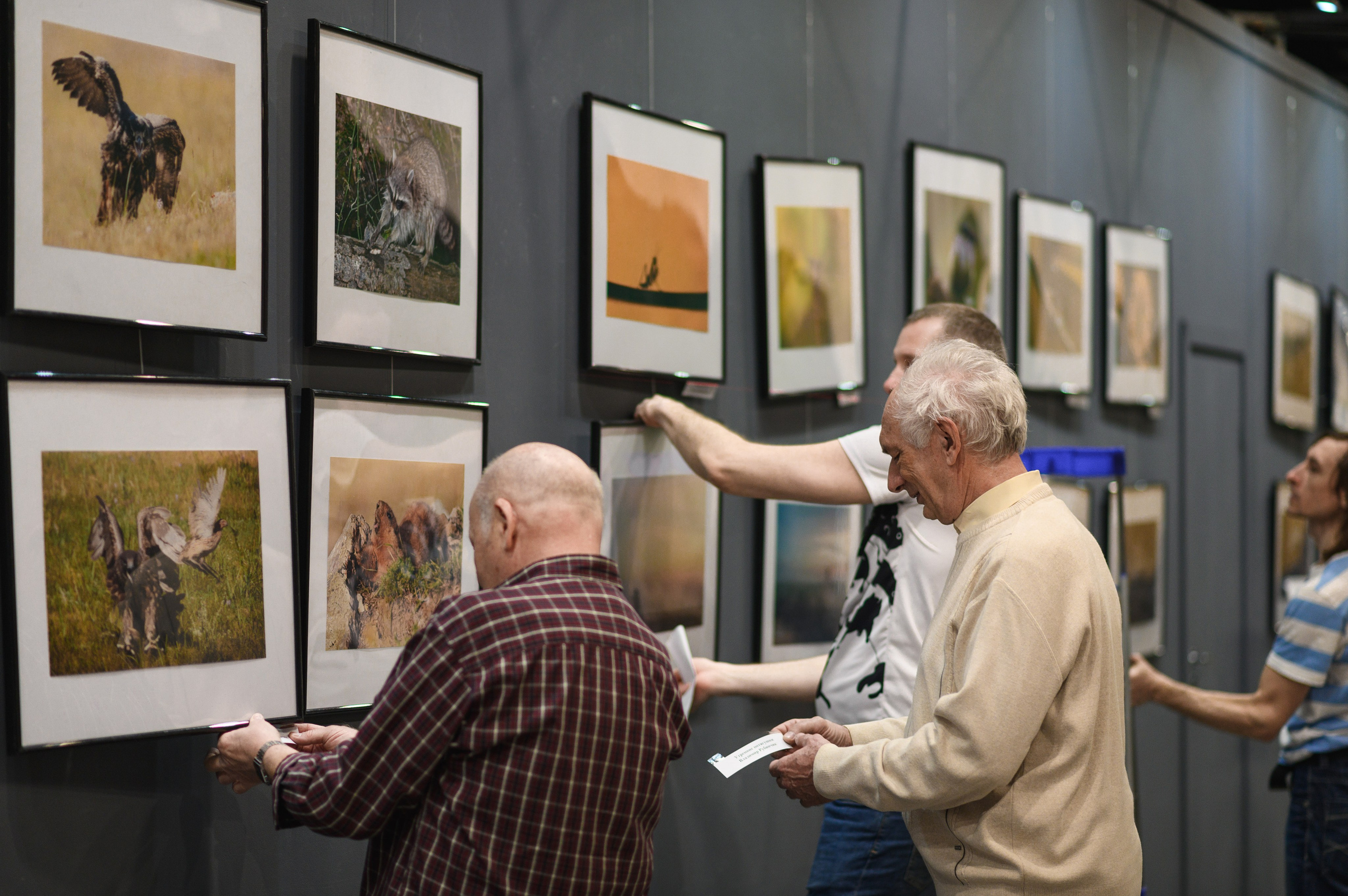 Выставка «В чьих глазах красота?». Фотообъединение Самарского областного отделения Союза журналистов России