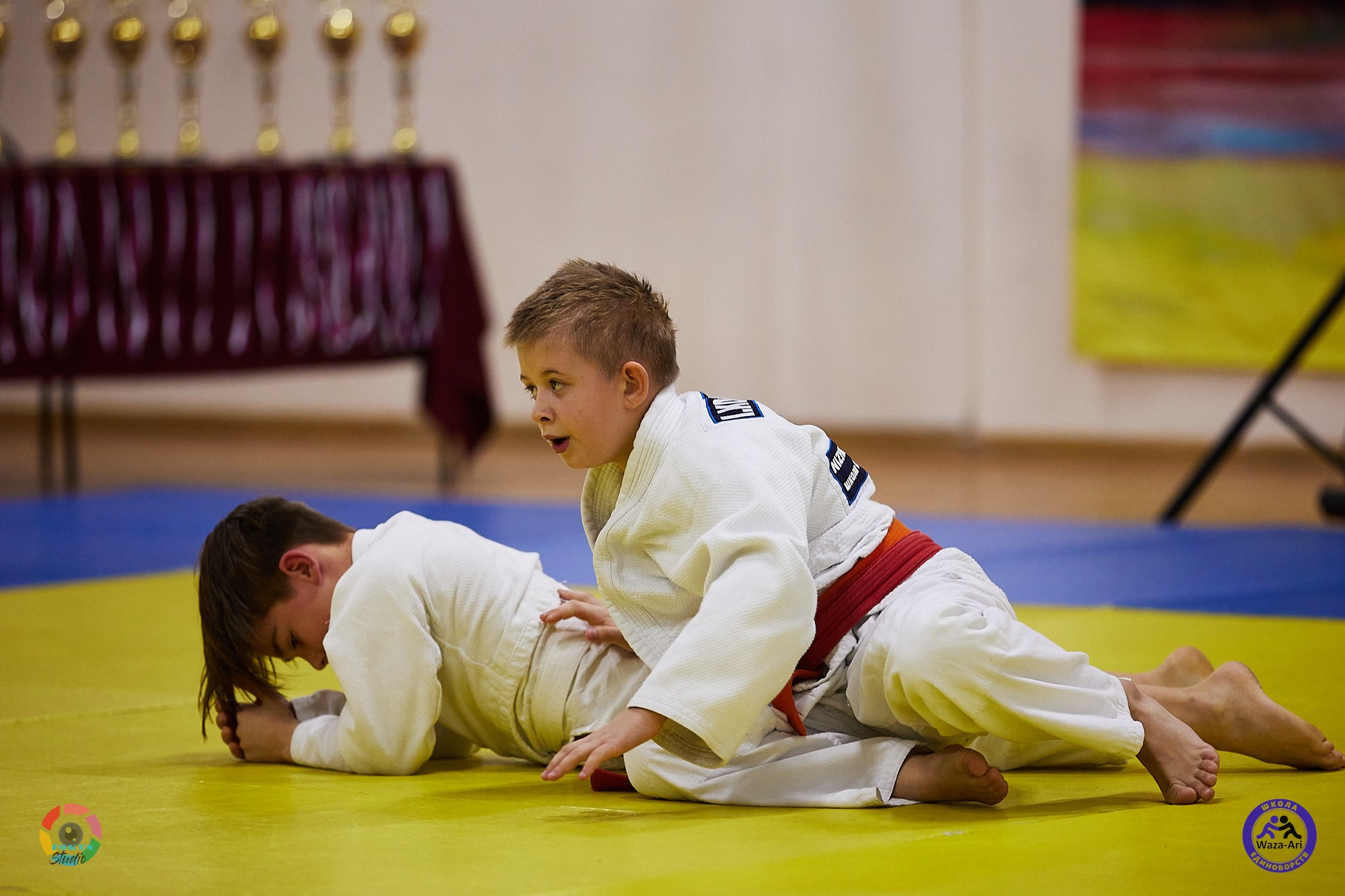 Репортаж Турнир по дзюдо. Спортивный фотограф Некрасов Денис