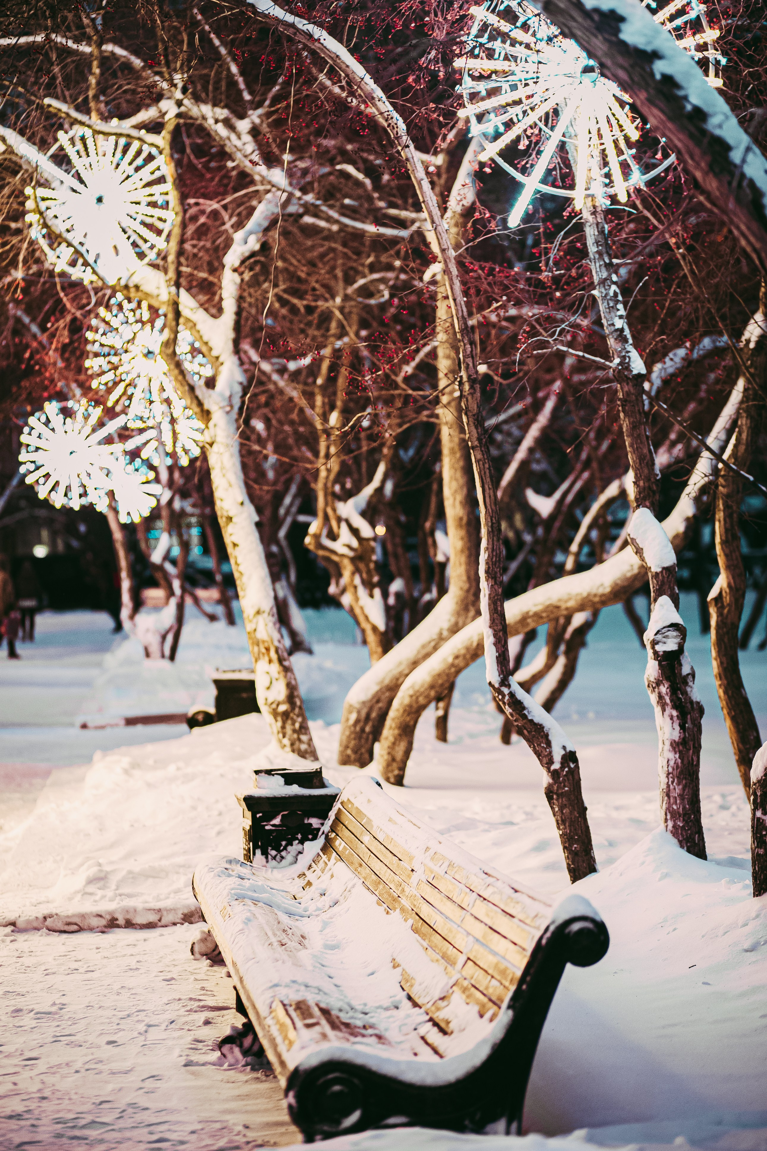 Новогодние прогулки по Новосибирску. Фотограф в  г. Новосибирск