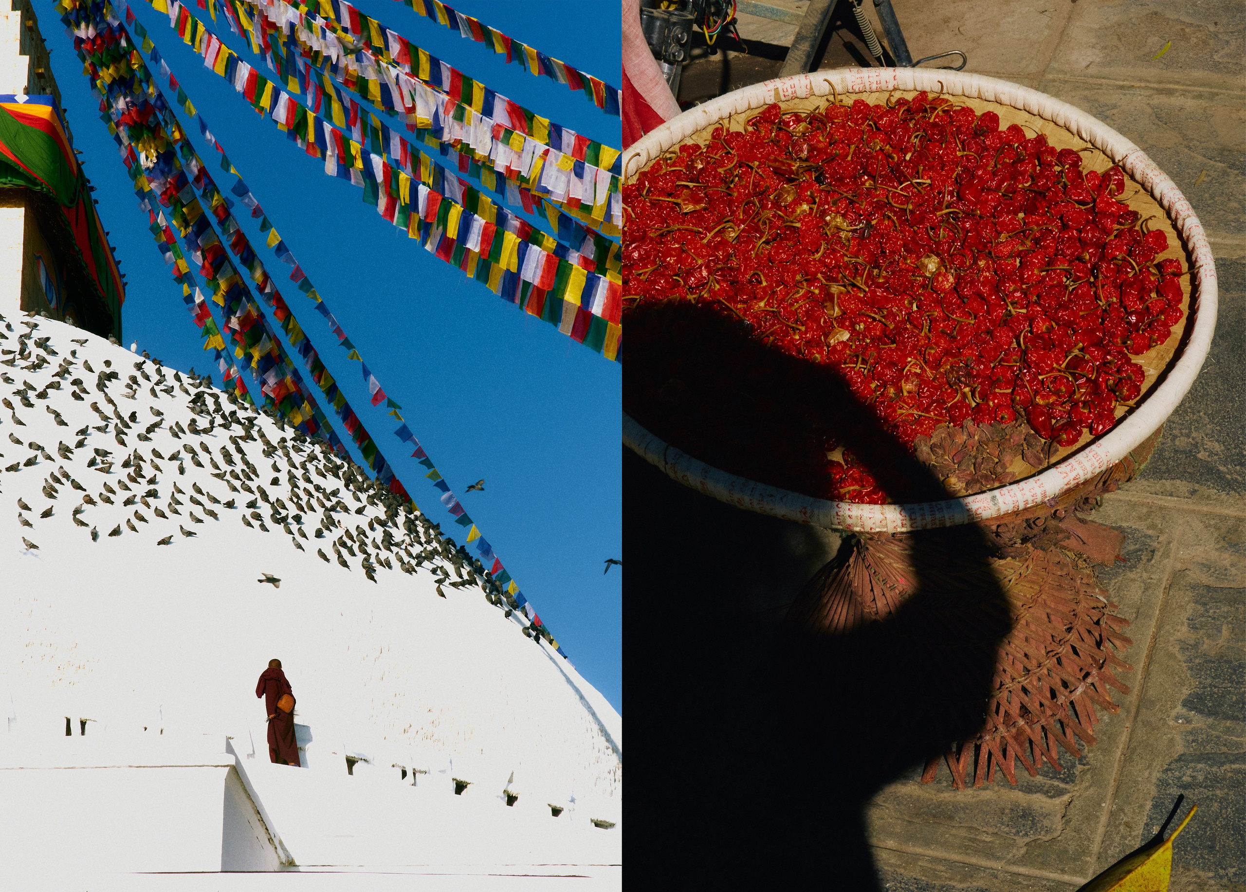 TRAVEL. EVGENYA PERESADOVA