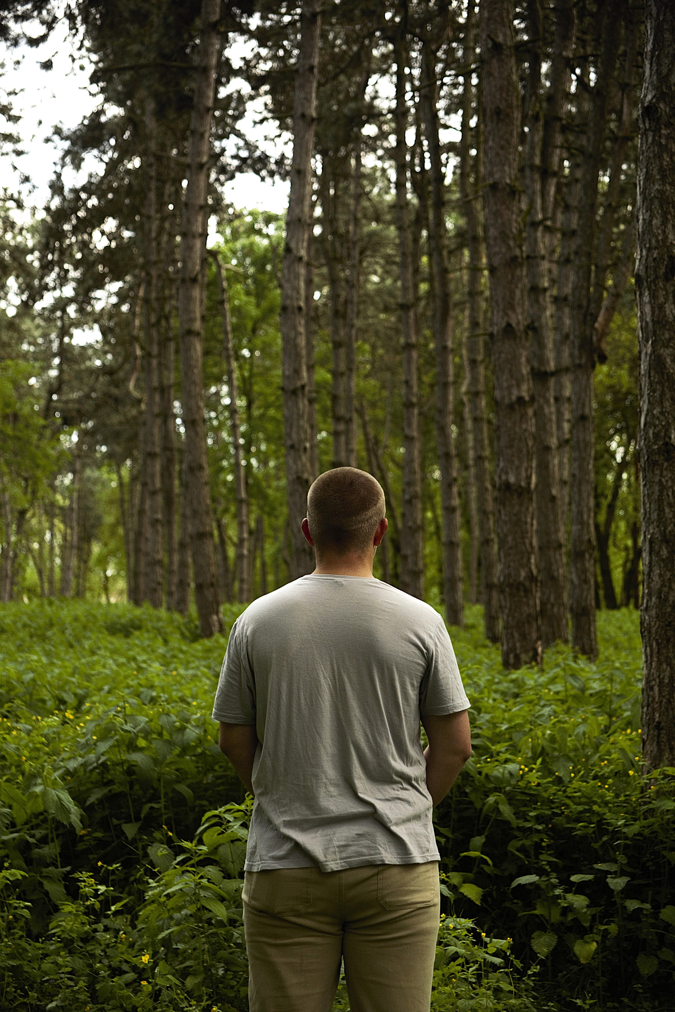 Мои работы. Фотограф Москва-Нальчик Абазов Астемир