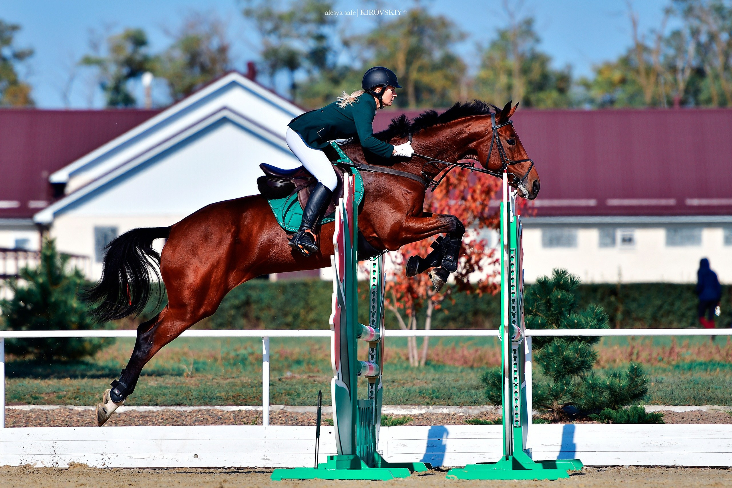 Кировский конный завод. Конный фотограф Alesya Safe
