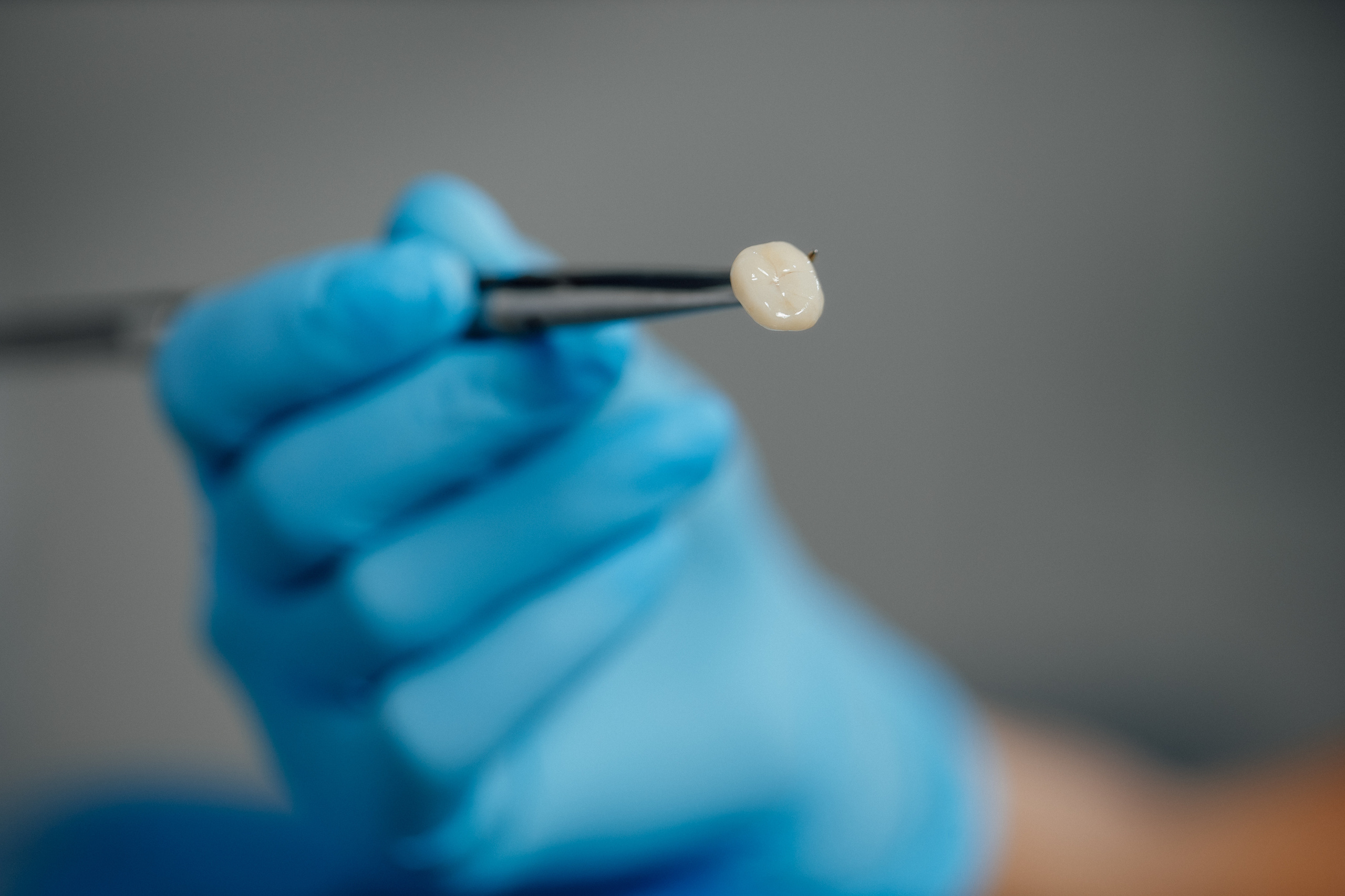 Доктор Стом. Кристина Москвина. Портретный фотограф