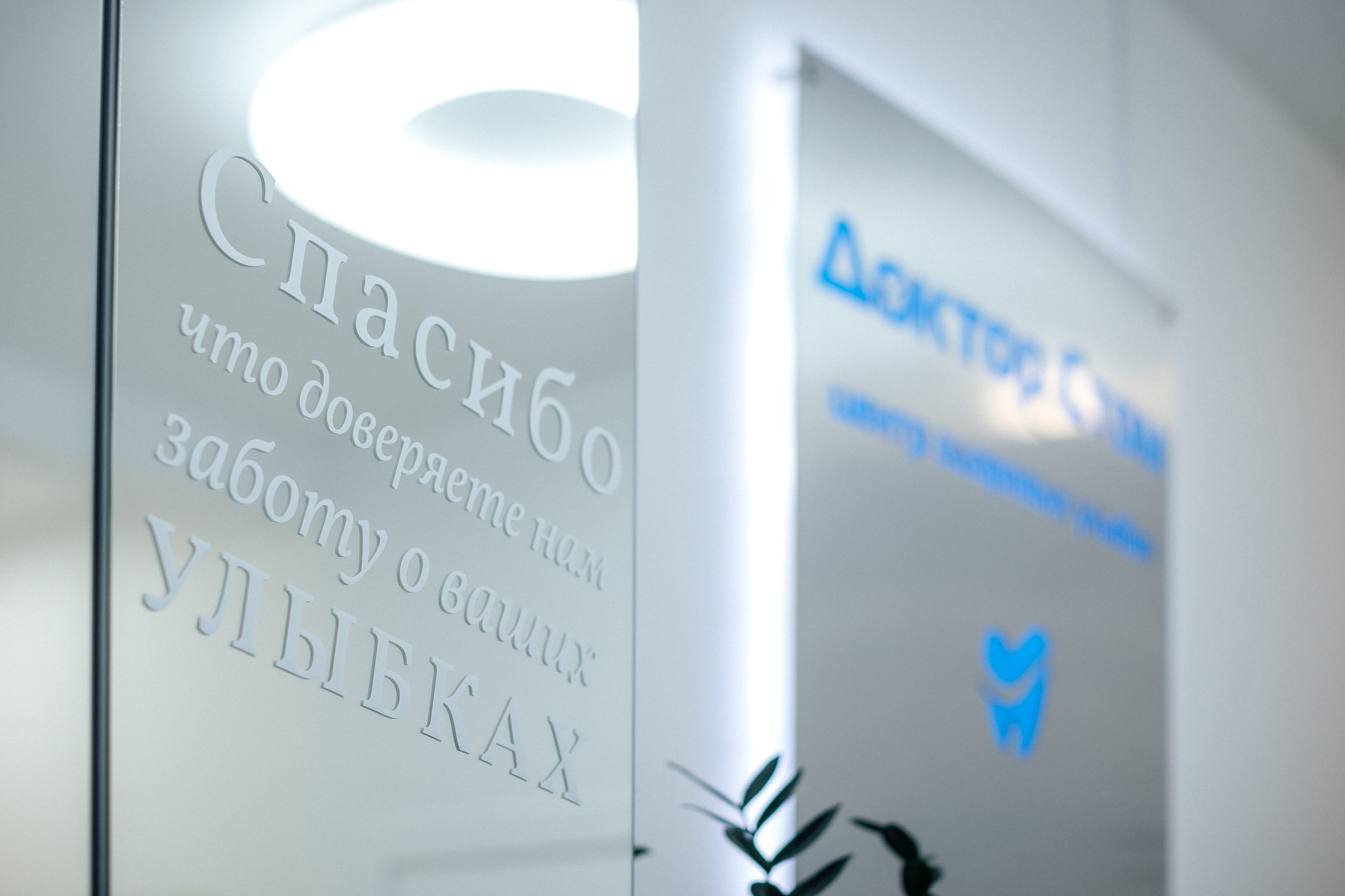 Доктор Стом. Кристина Москвина. Портретный фотограф