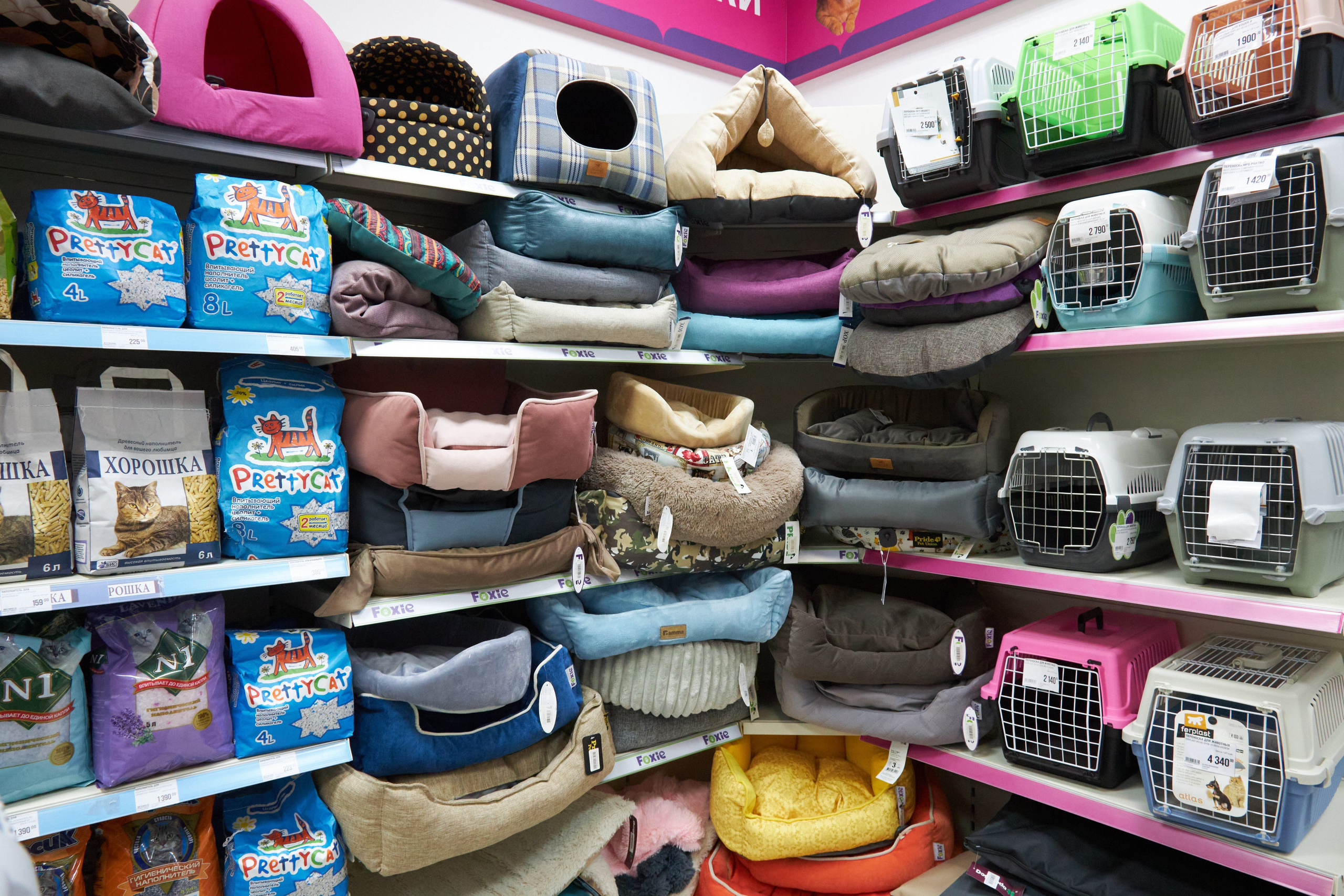 Магазин товаров для животных «Бетховен». Фотограф Сергей Феденко