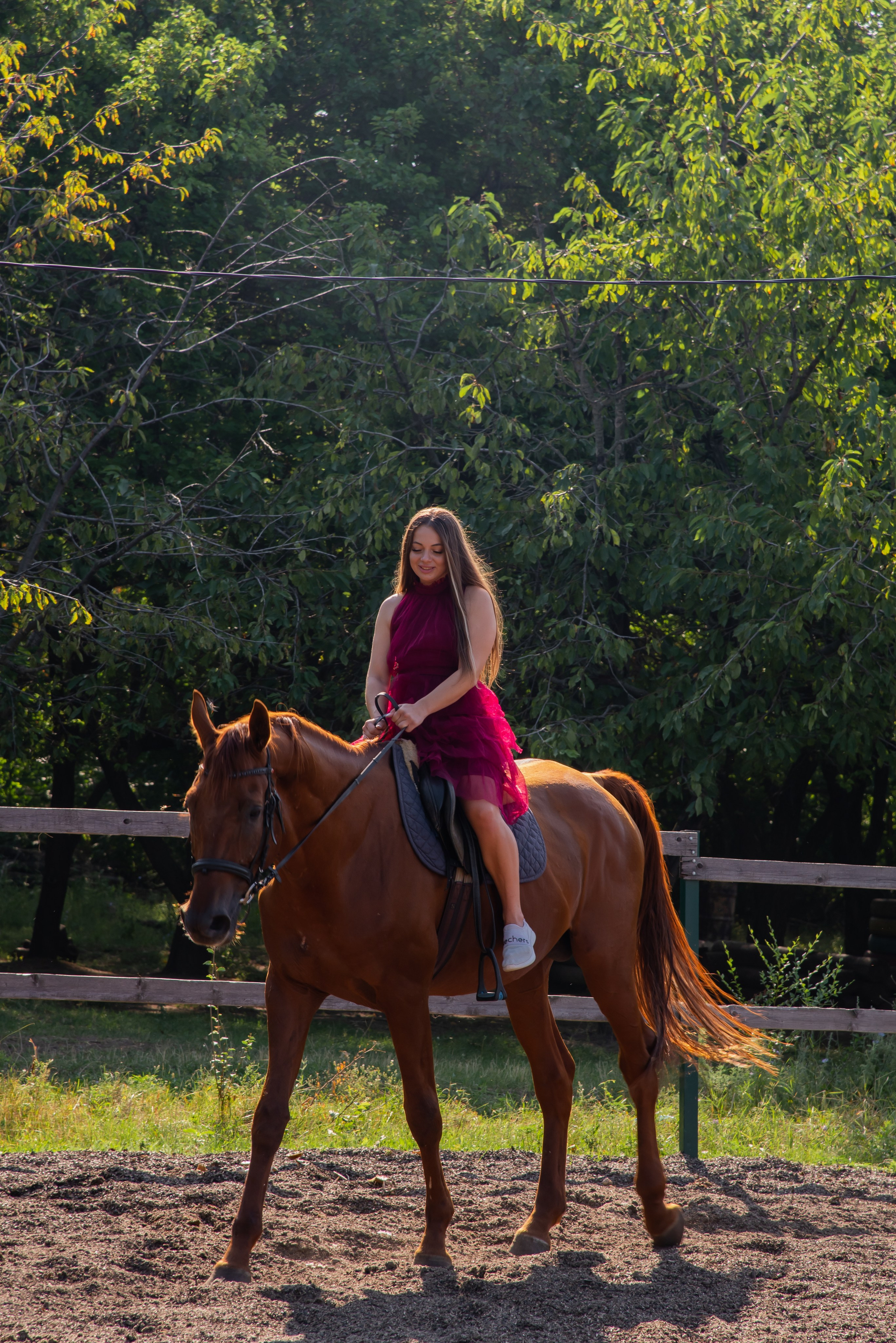 Конная прогулка. Фотограф Галина Нестерова