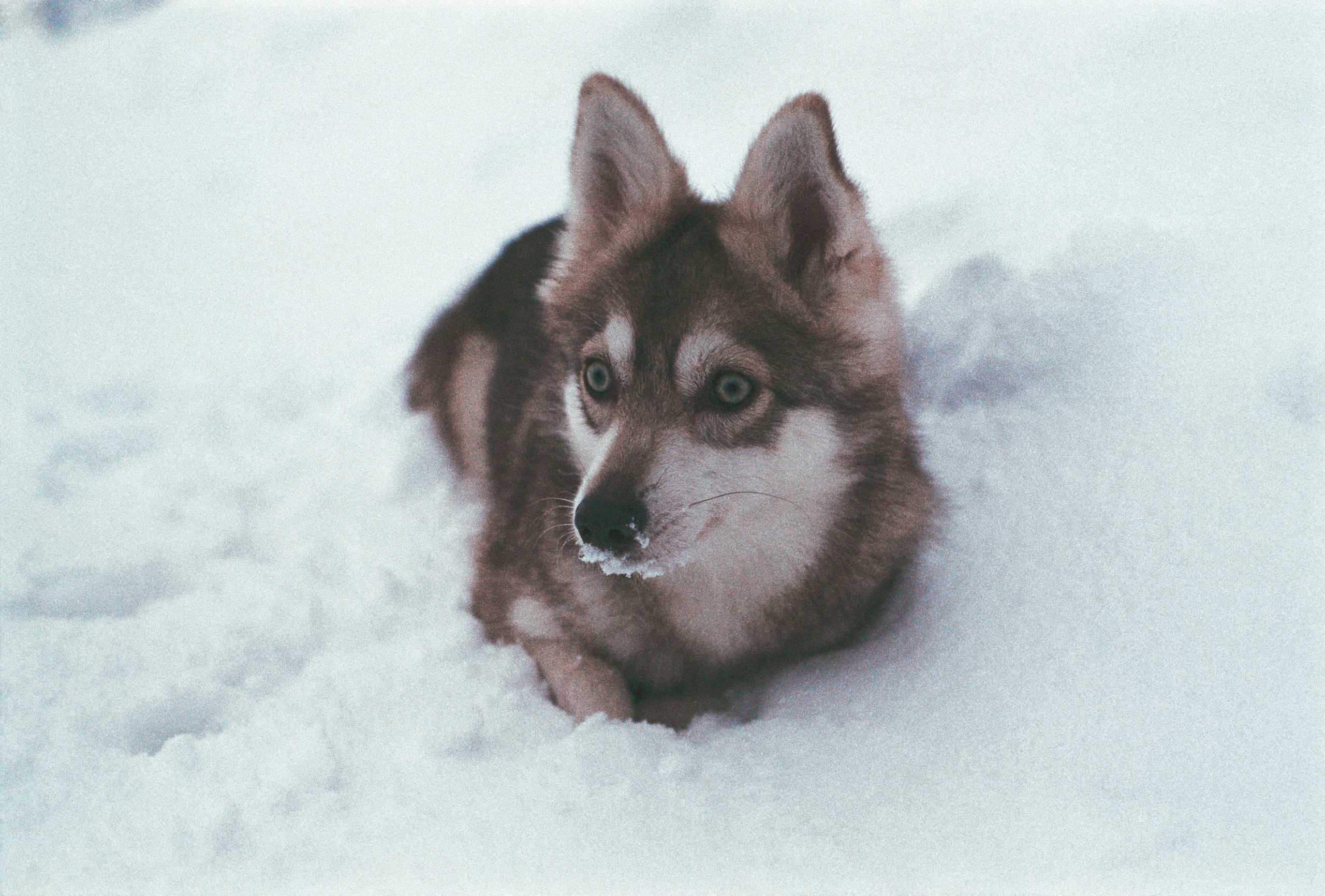 V2. Stylist and film photographer Anastasia Shlokova