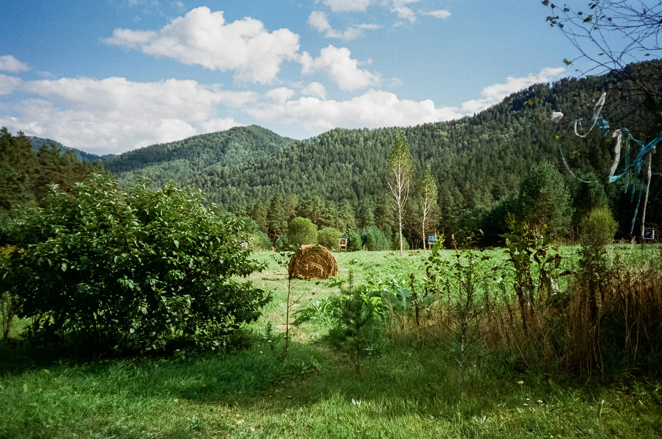 Шаманский Алтай. Фотограф-документалист Мария Осокина
