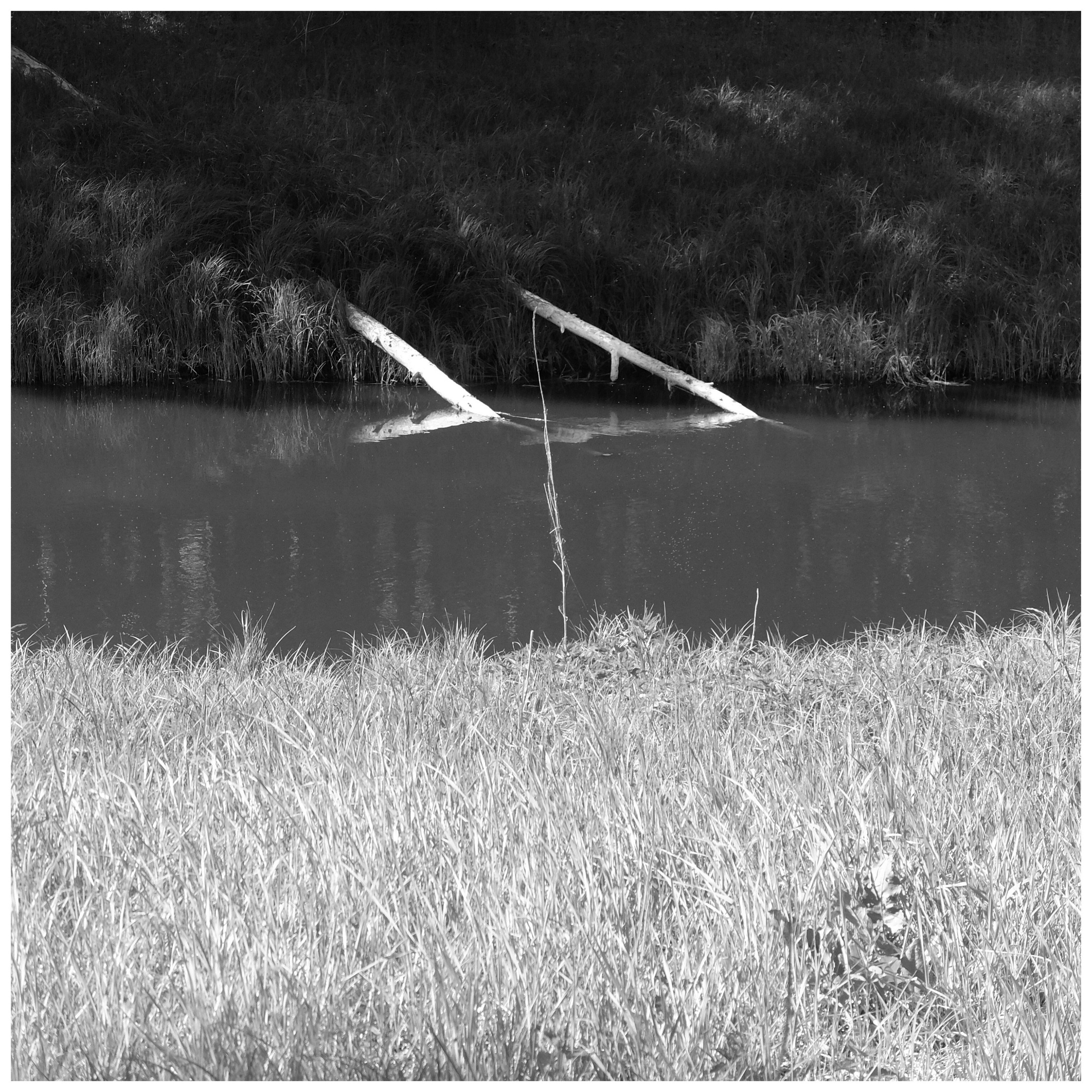 Промежуточные моменты (2022)