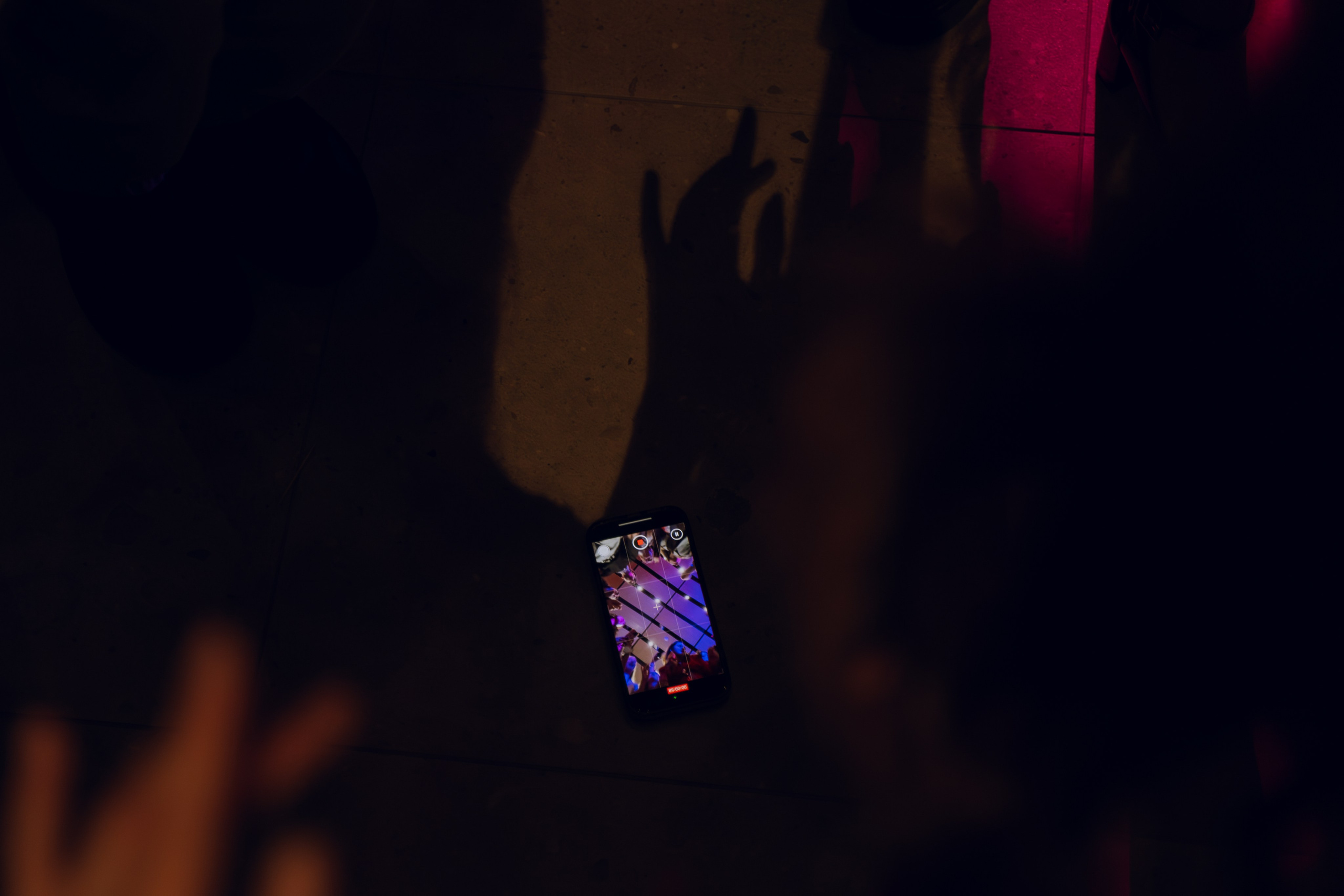 Профразвитие 2 декабря. Фотограф Надежда Погребняк | Рязань | Москва