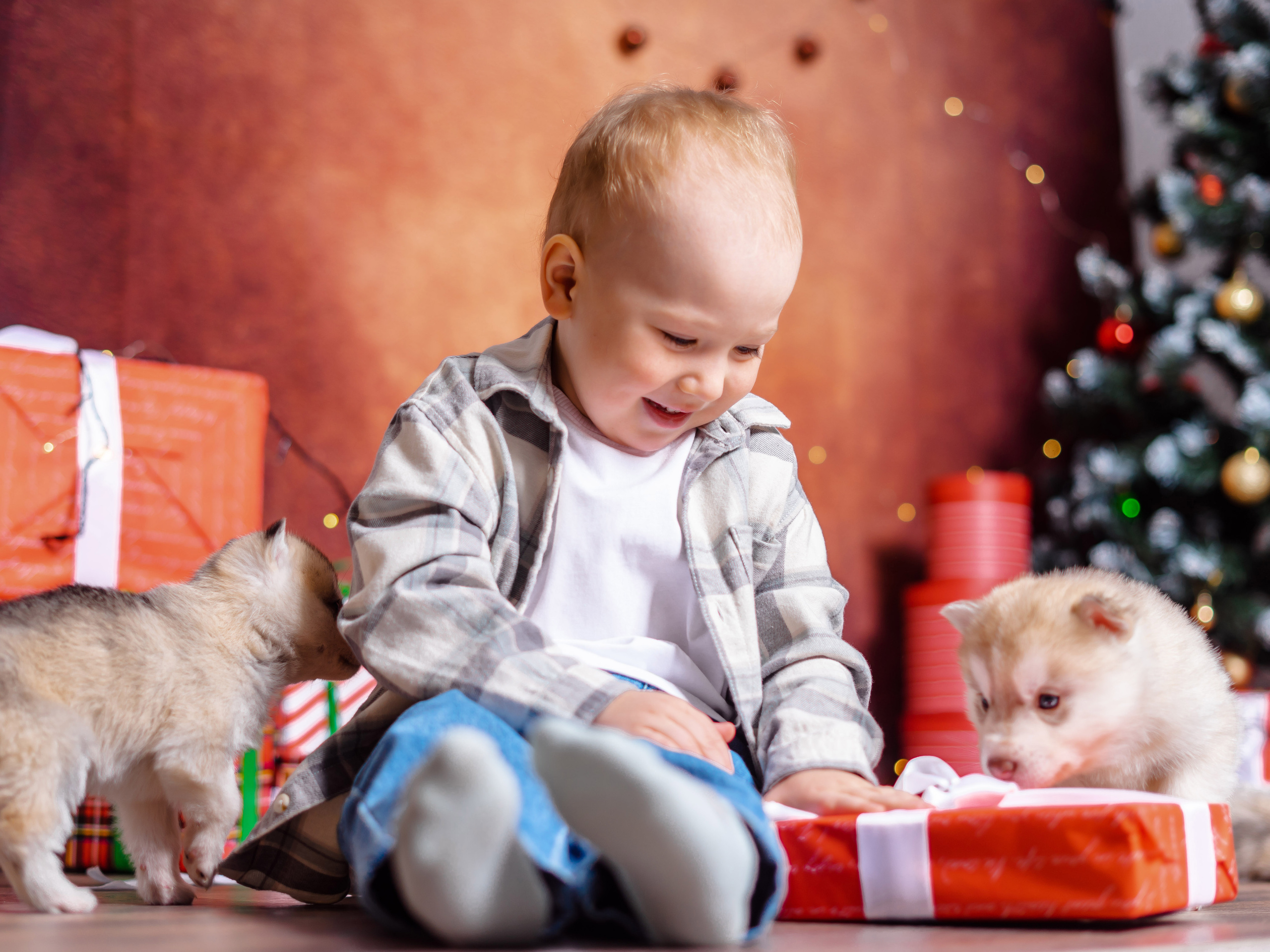 Съемка с животными. Семейный и детский фотограф в Екатеринбурге и НевьянскеТимурова Алина