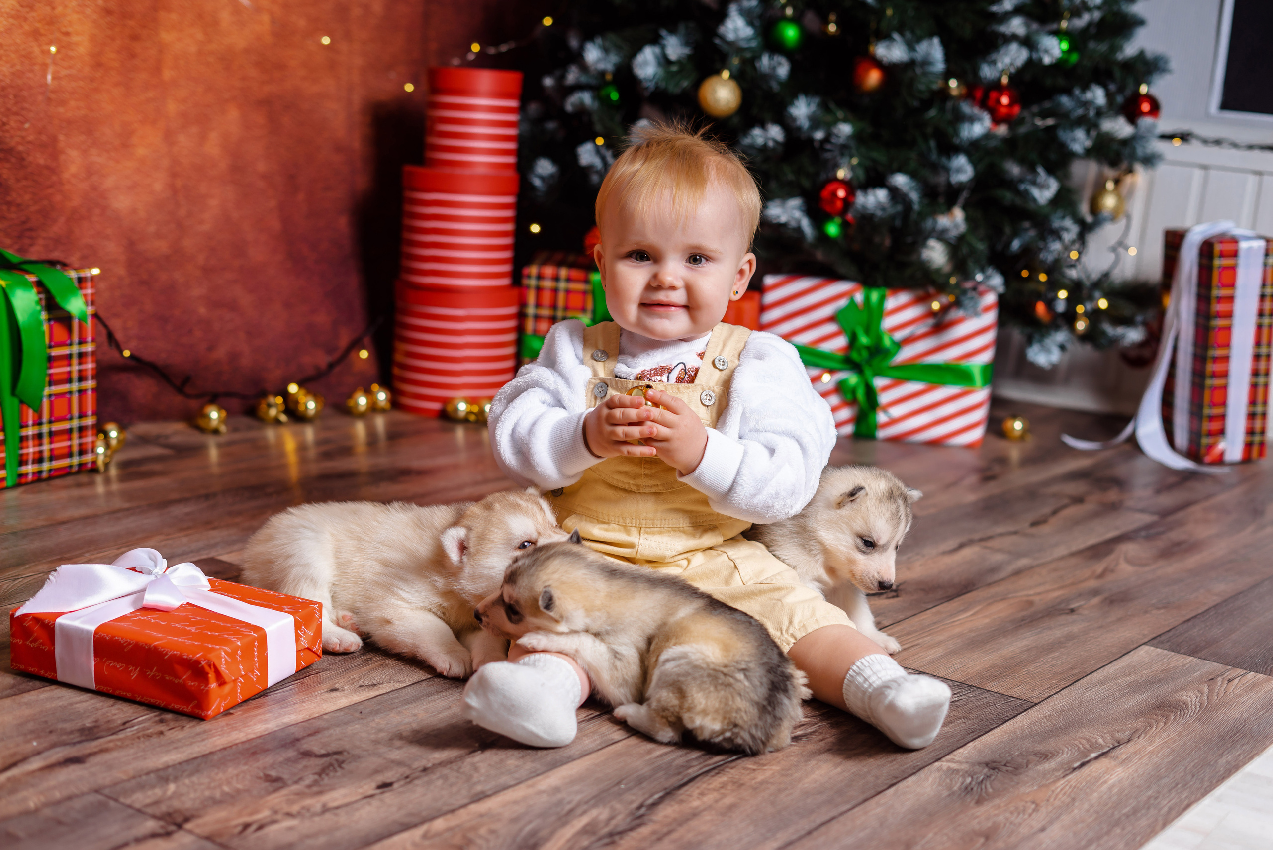 Съемка с животными. Семейный и детский фотограф в Екатеринбурге и НевьянскеТимурова Алина