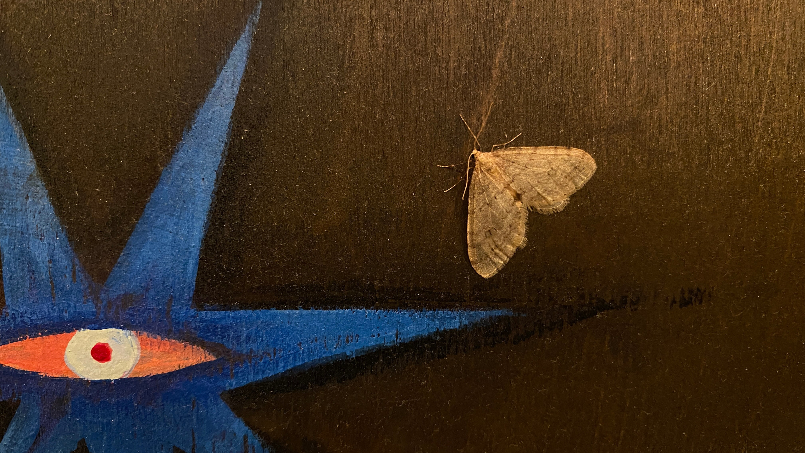 Где-то в темноте. Саша Гдетотам