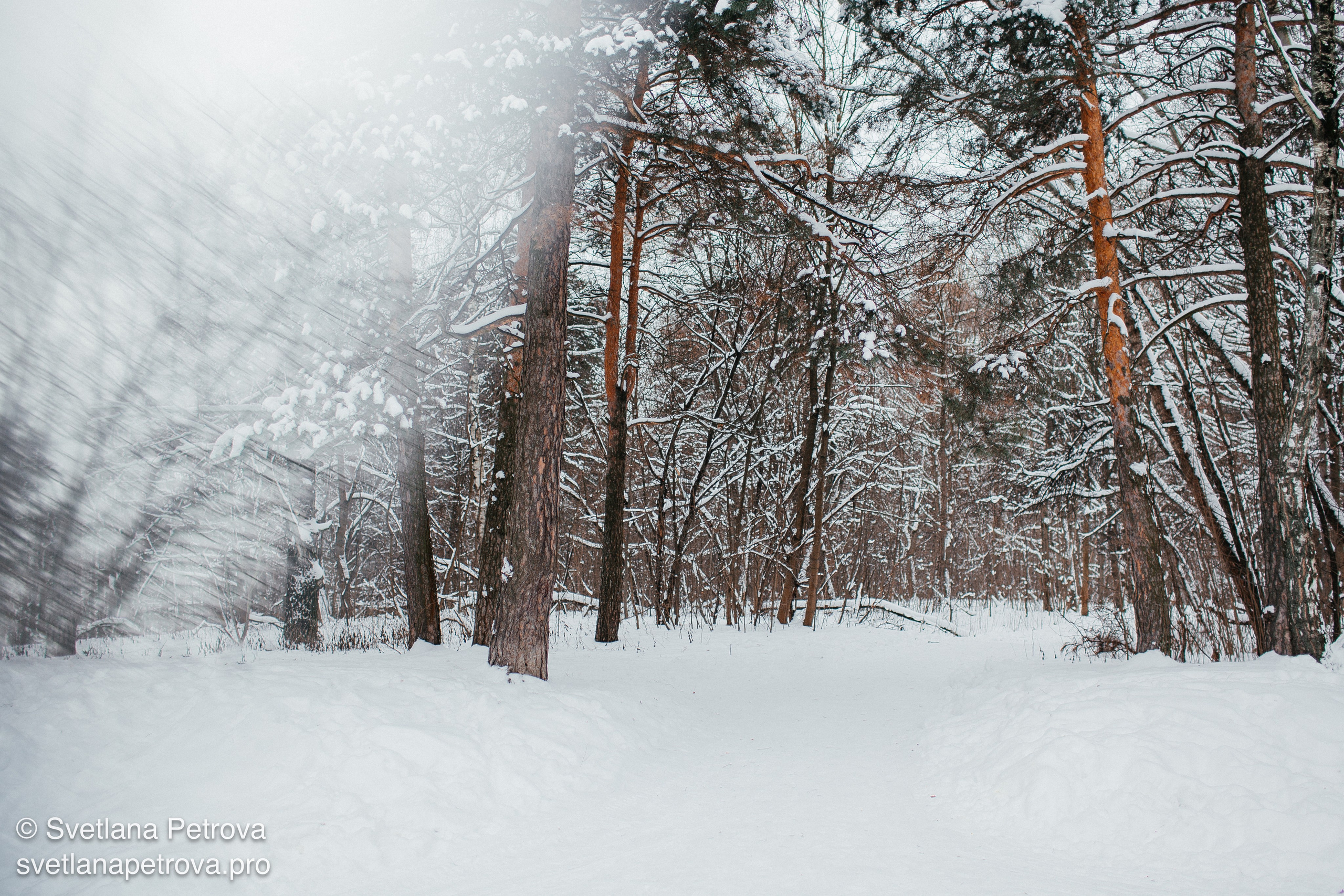 Новогодние Локации 1 января 2026. Фотограф Светлана Петрова