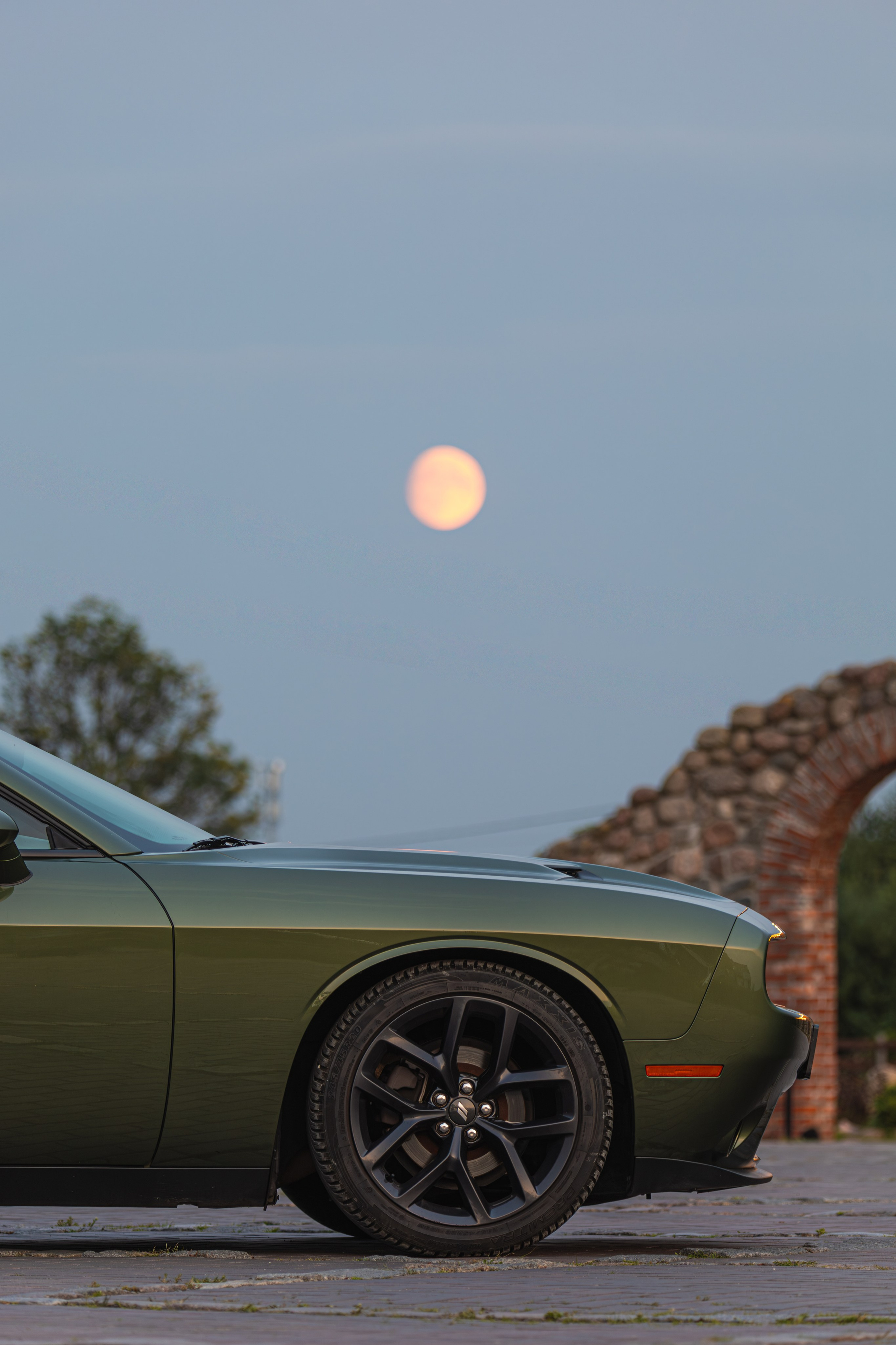 Partner Rent — Dodge Challenger. — Digital Noise —
