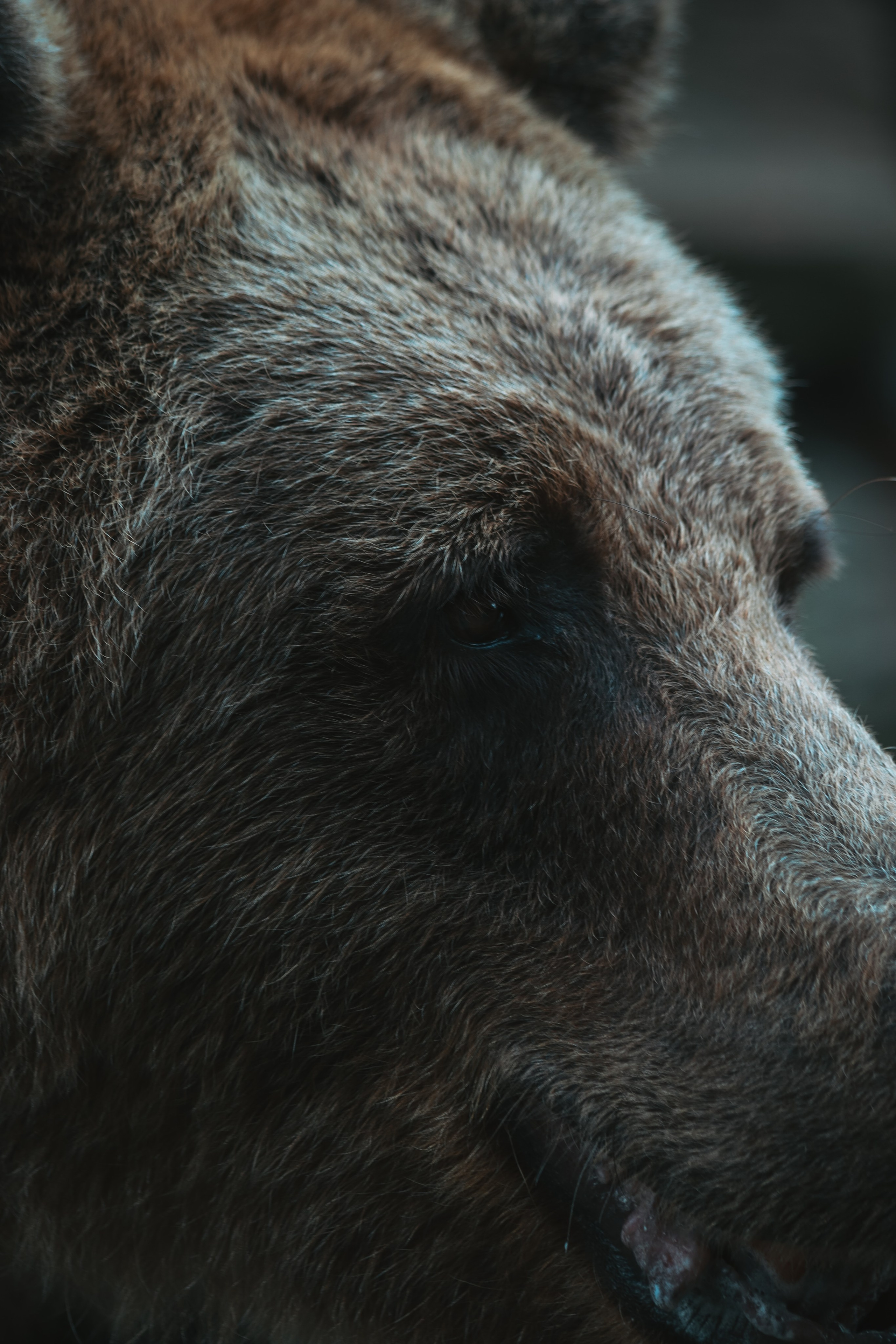 Р А З Н А Я — Ж И В Н О С Т Ь. — Digital Noise —