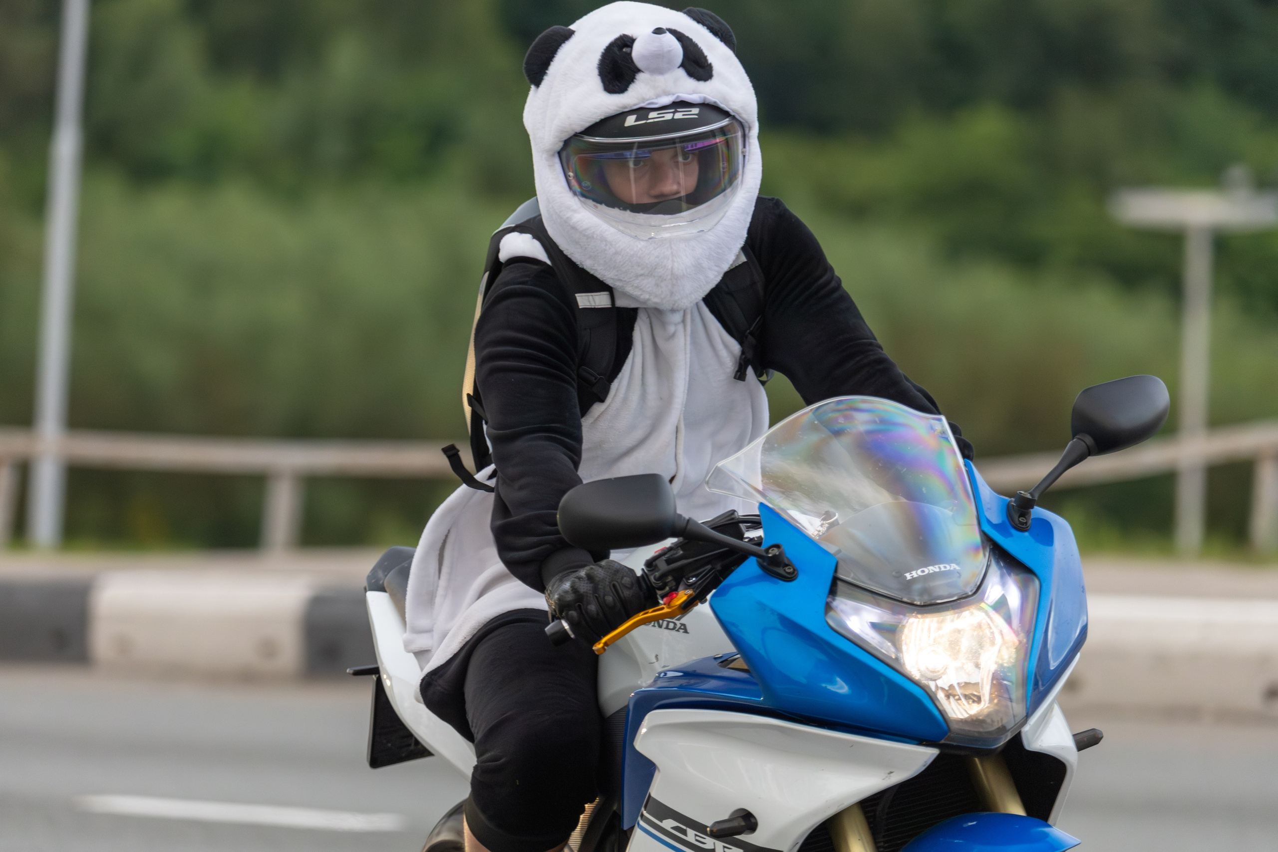 Закрытие Летнего сезона — 2025. — Digital Noise —