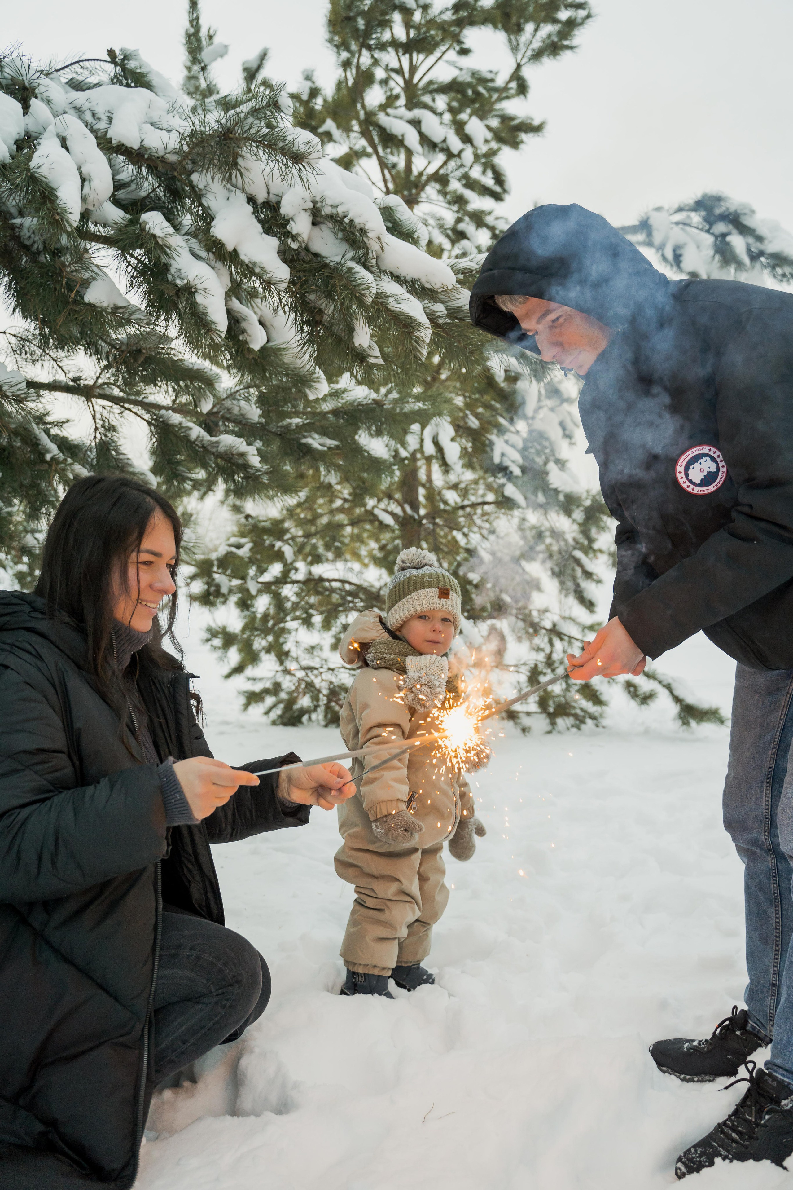 Зимняя прогулка. Главная