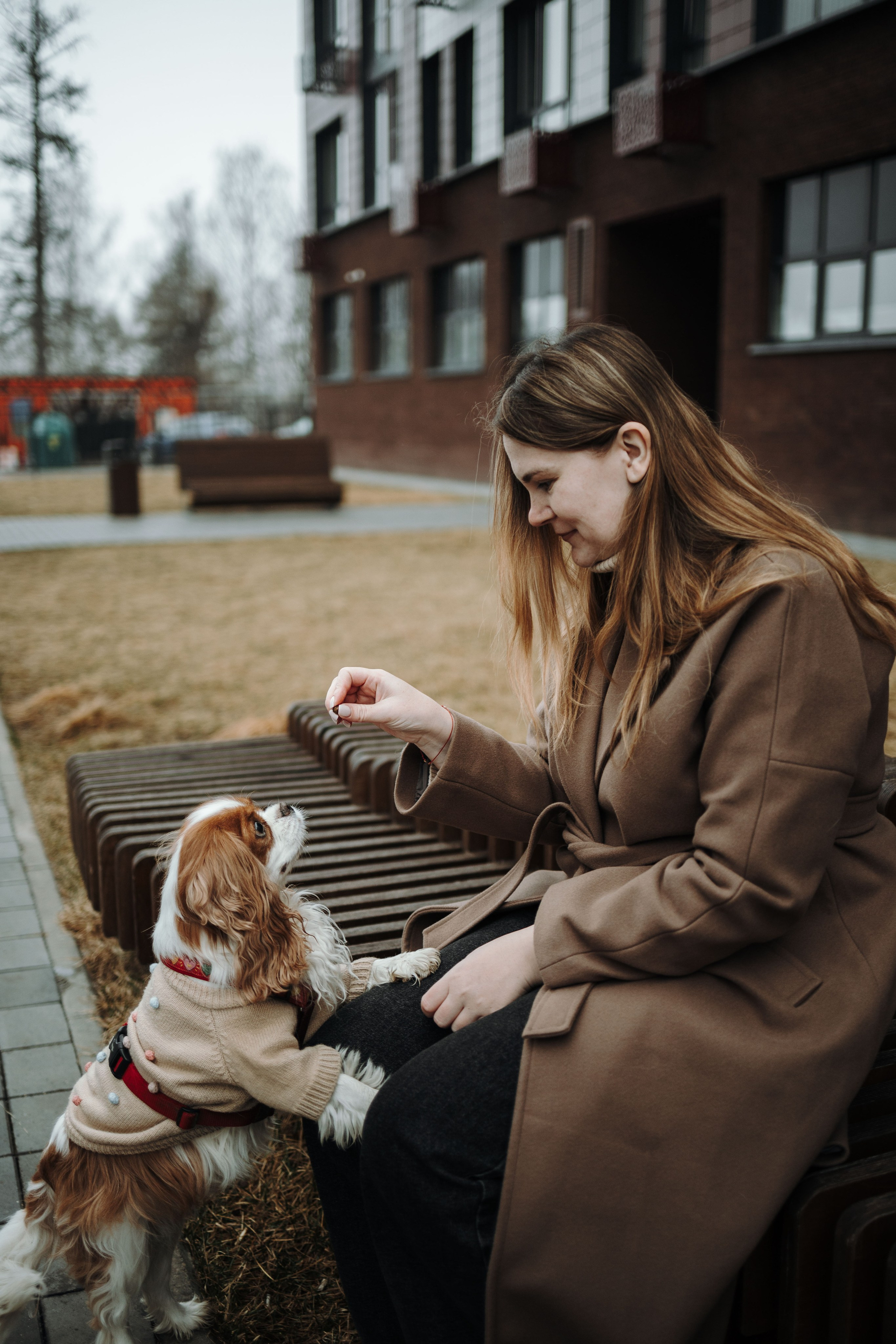 Любовь и Альтаир