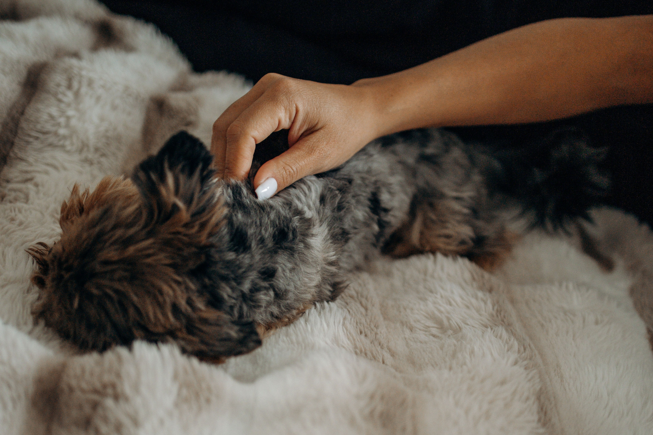 Настя и Йося